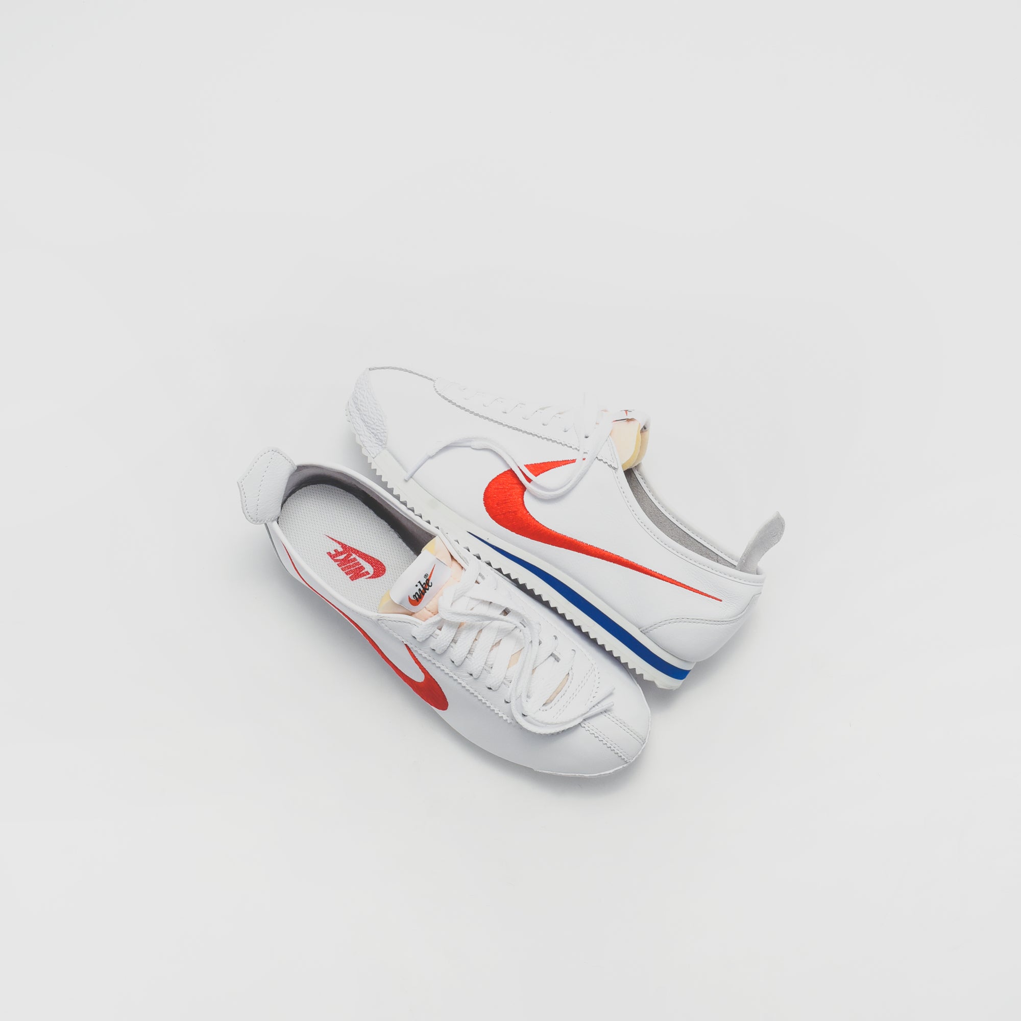shoe dog nike cortez