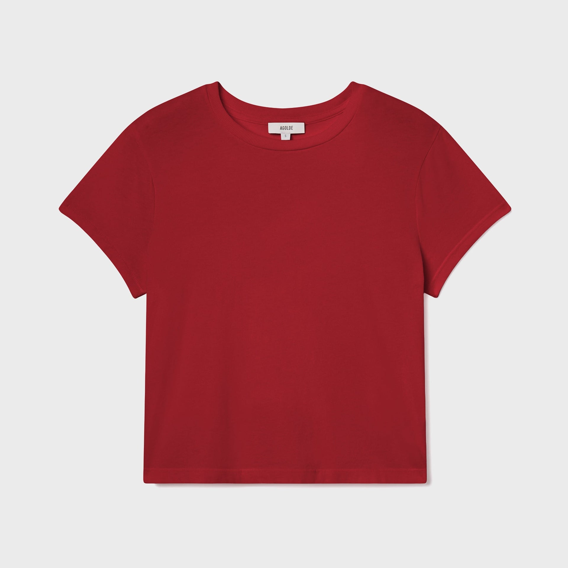 Agolde Adina Tee in Brick
