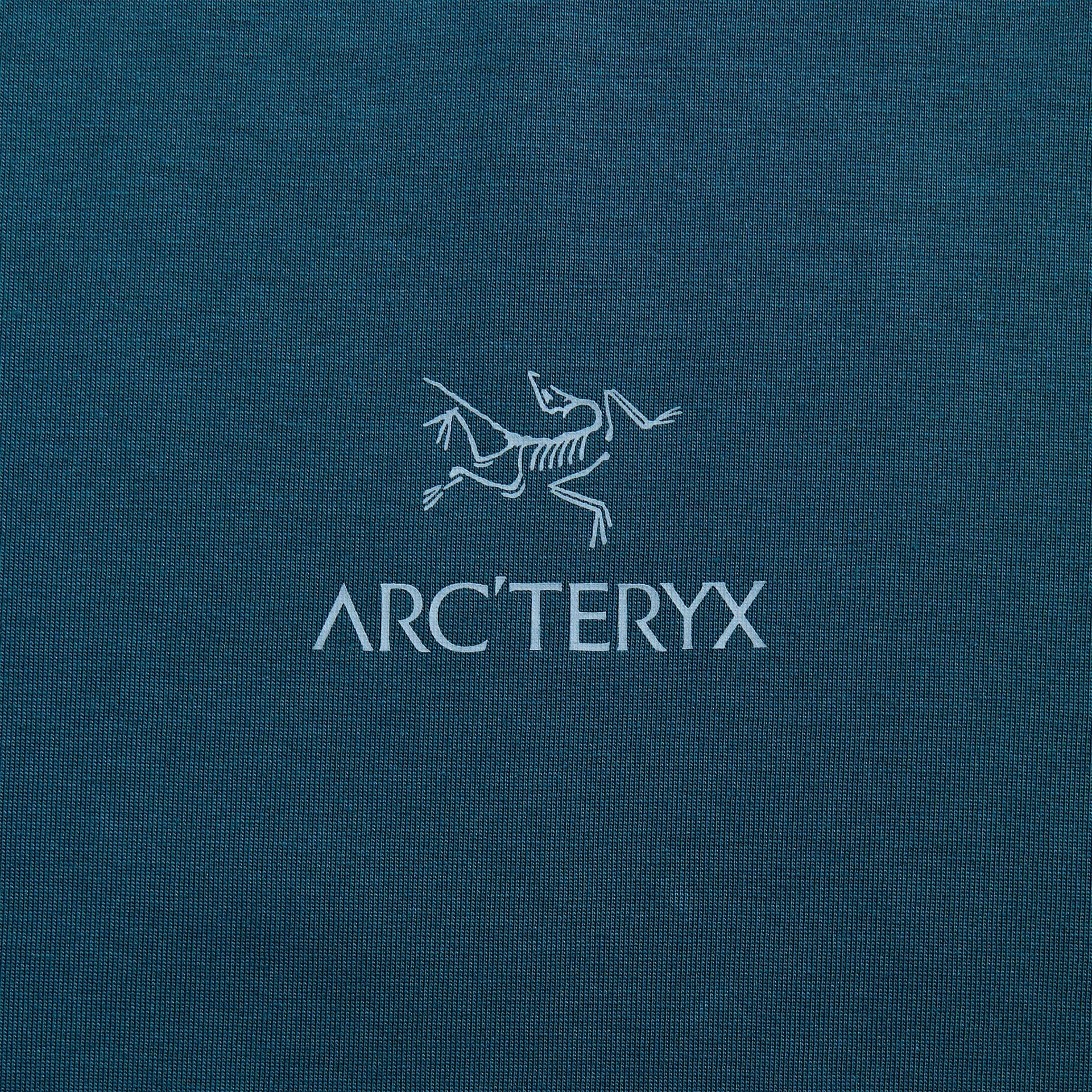 Arc'teryx Kragg SL Cotton Bird Word - Nightscape / Light Night