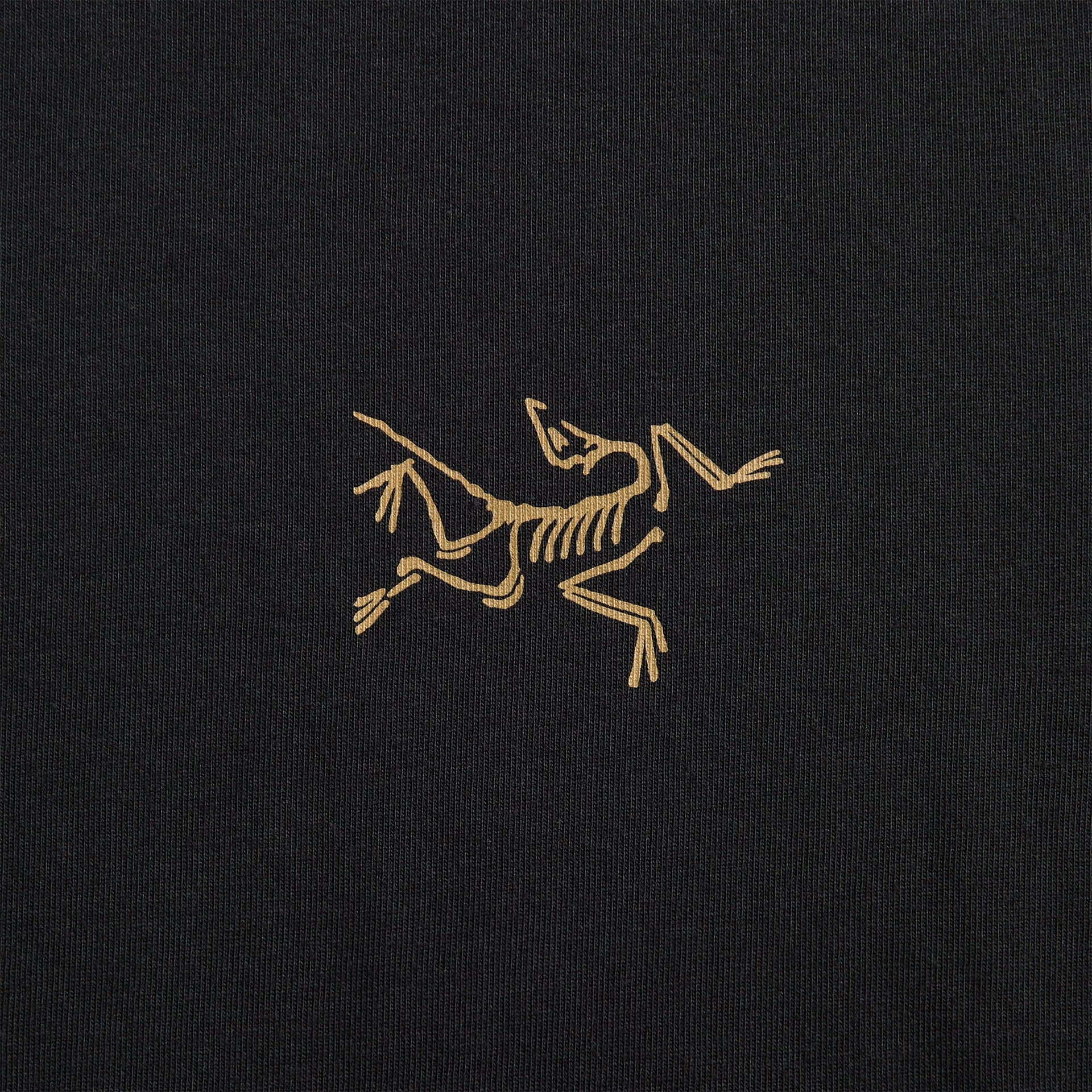 Arc'teryx Kragg Cotton Long Sleeve - 24K Black