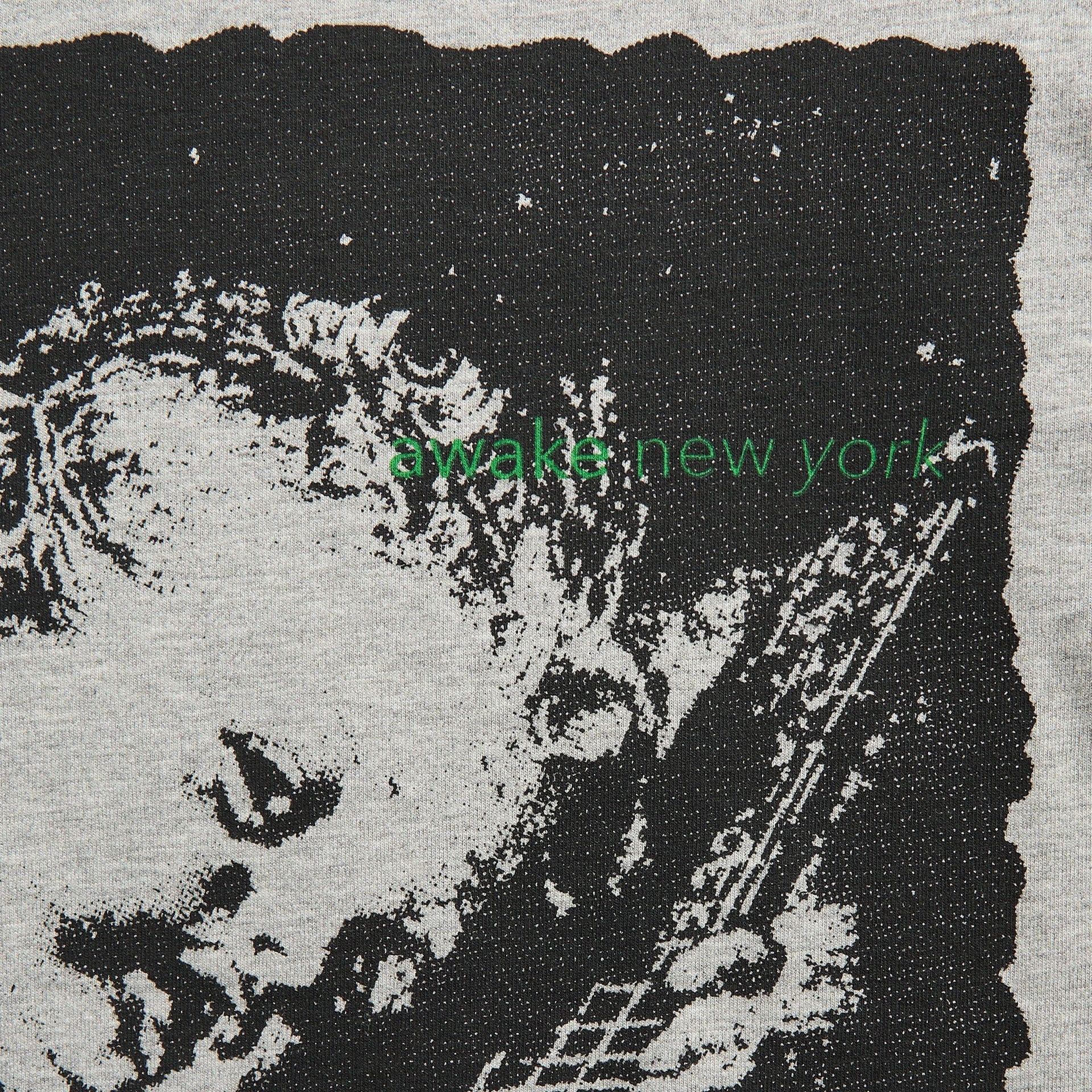 Awake NY Cherub Cities Tee in Heather Grey