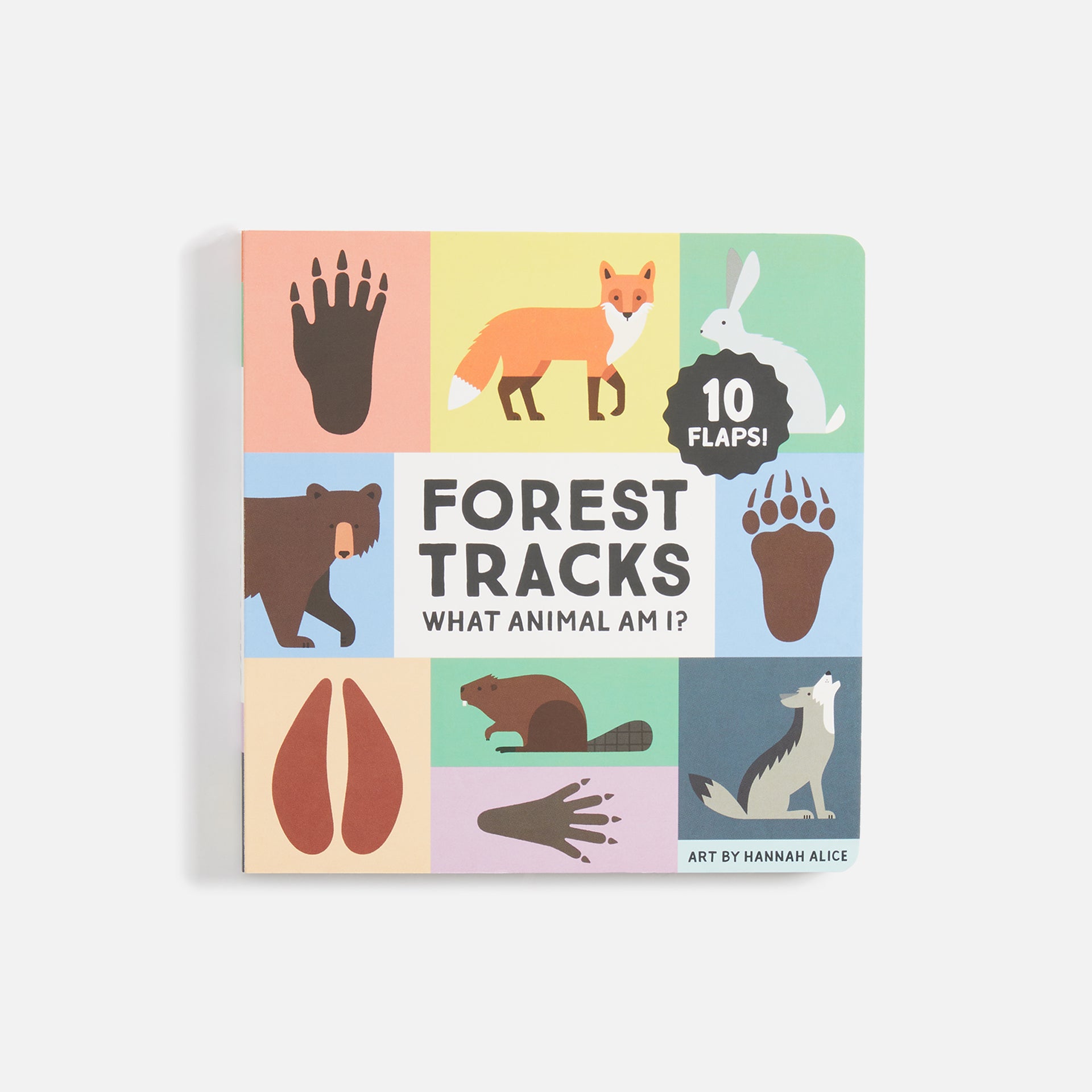Chronicle Forest Tracks: What Am I?