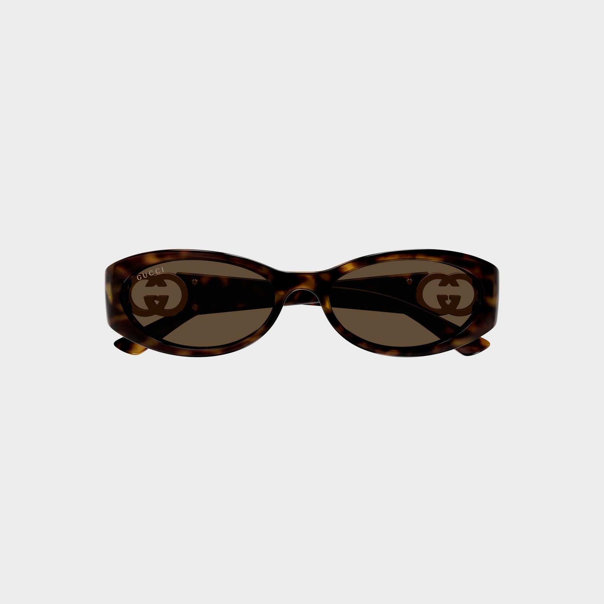 Gucci Eyewear GG1660Sin002 54 Sunglass in Havana / Brown
