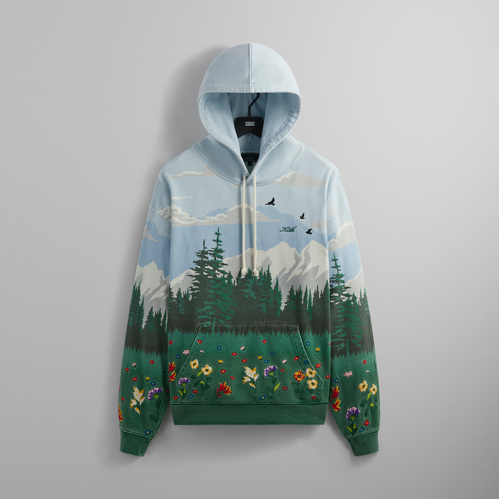 Kith Scenic Fleece Nelson Hoodie Larimar