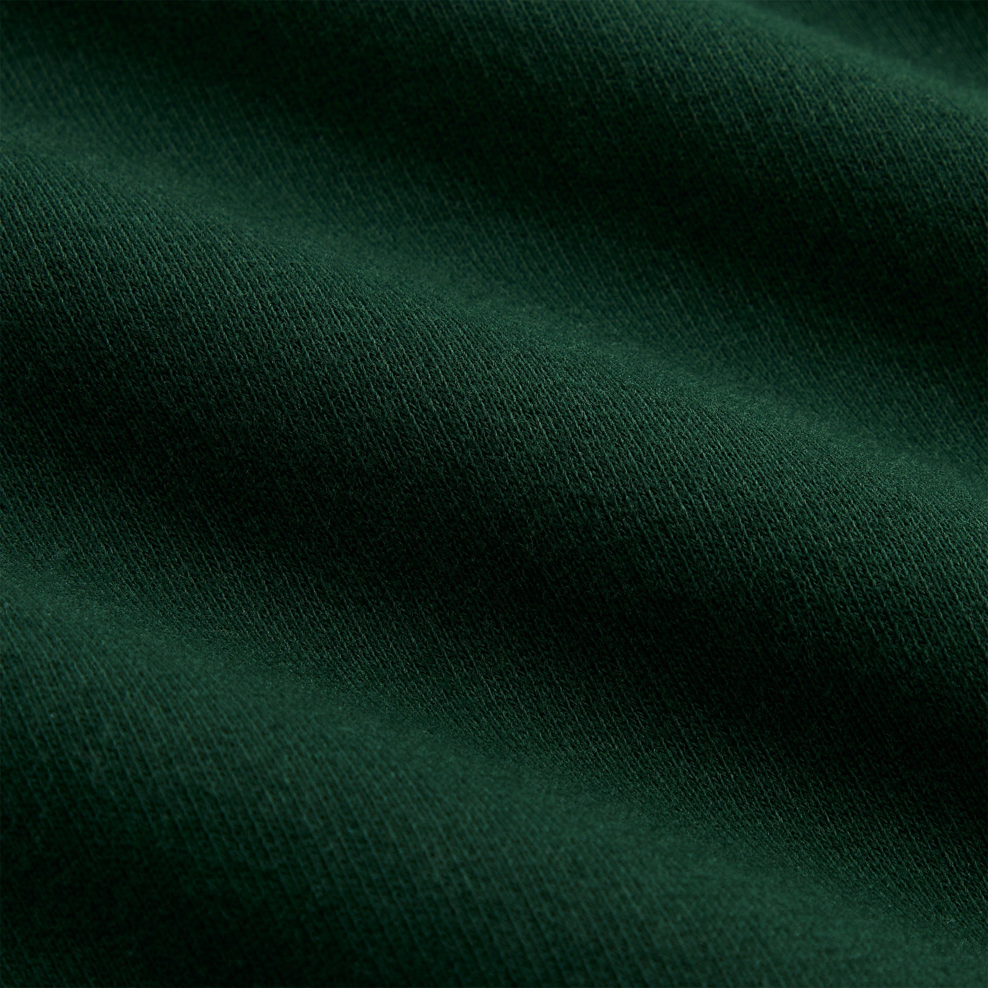 Erlebniswelt-fliegenfischenShops Ivy Vintage Crewneck - Ivy Green