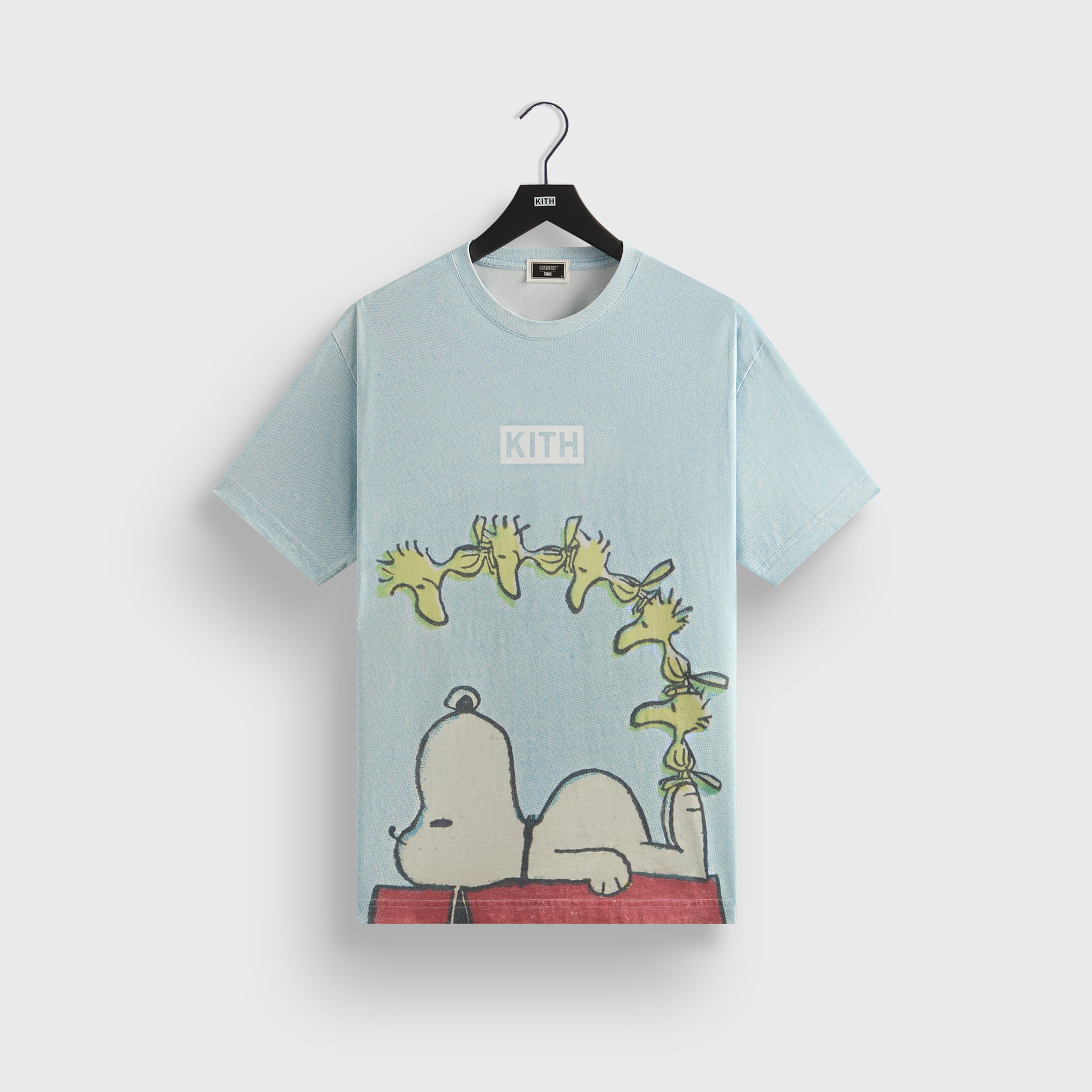 Kith for Peanuts Woodstock Doghouse Comic Vintage Tee - Glisten