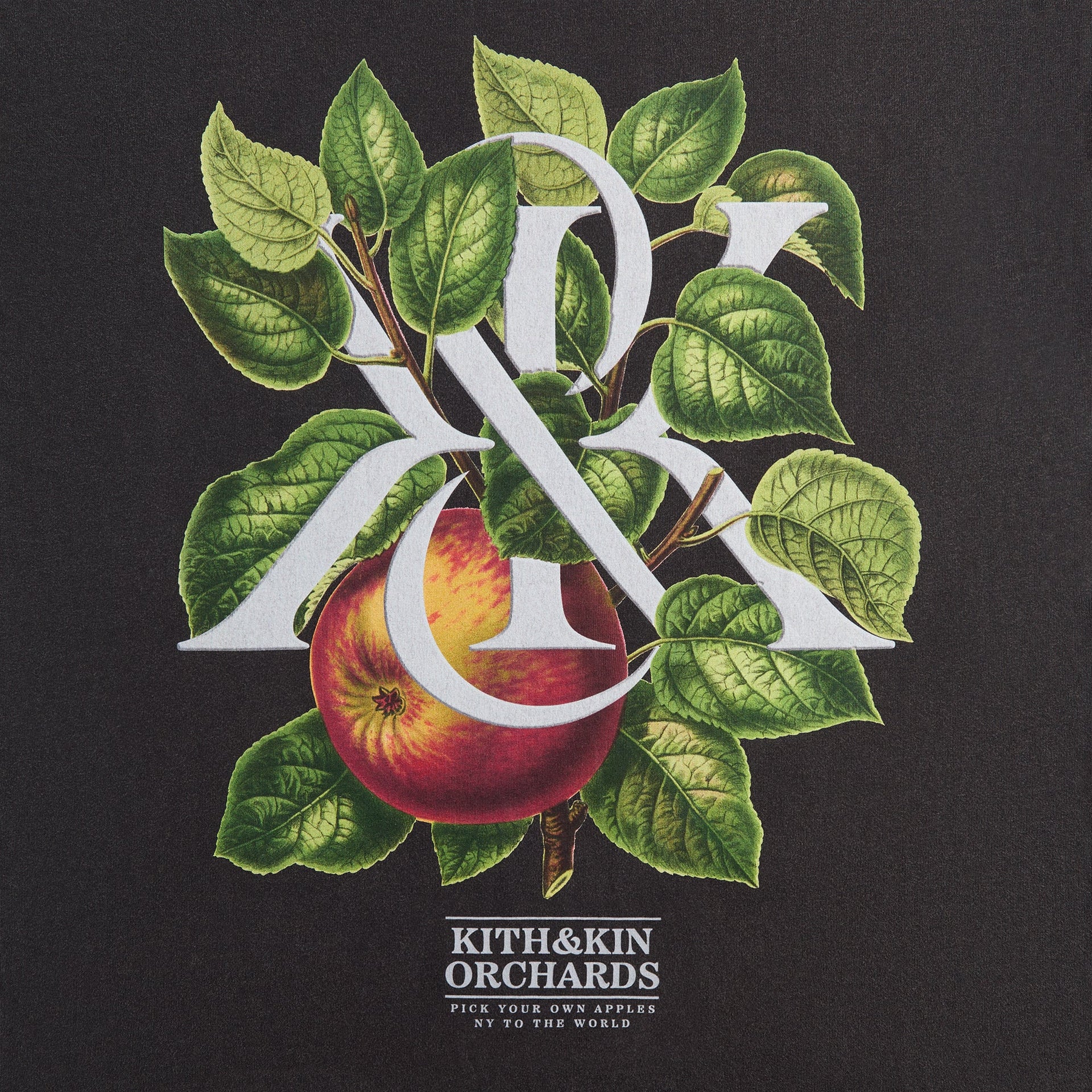 Kith & Kin Orchards Vintage Tee - Black