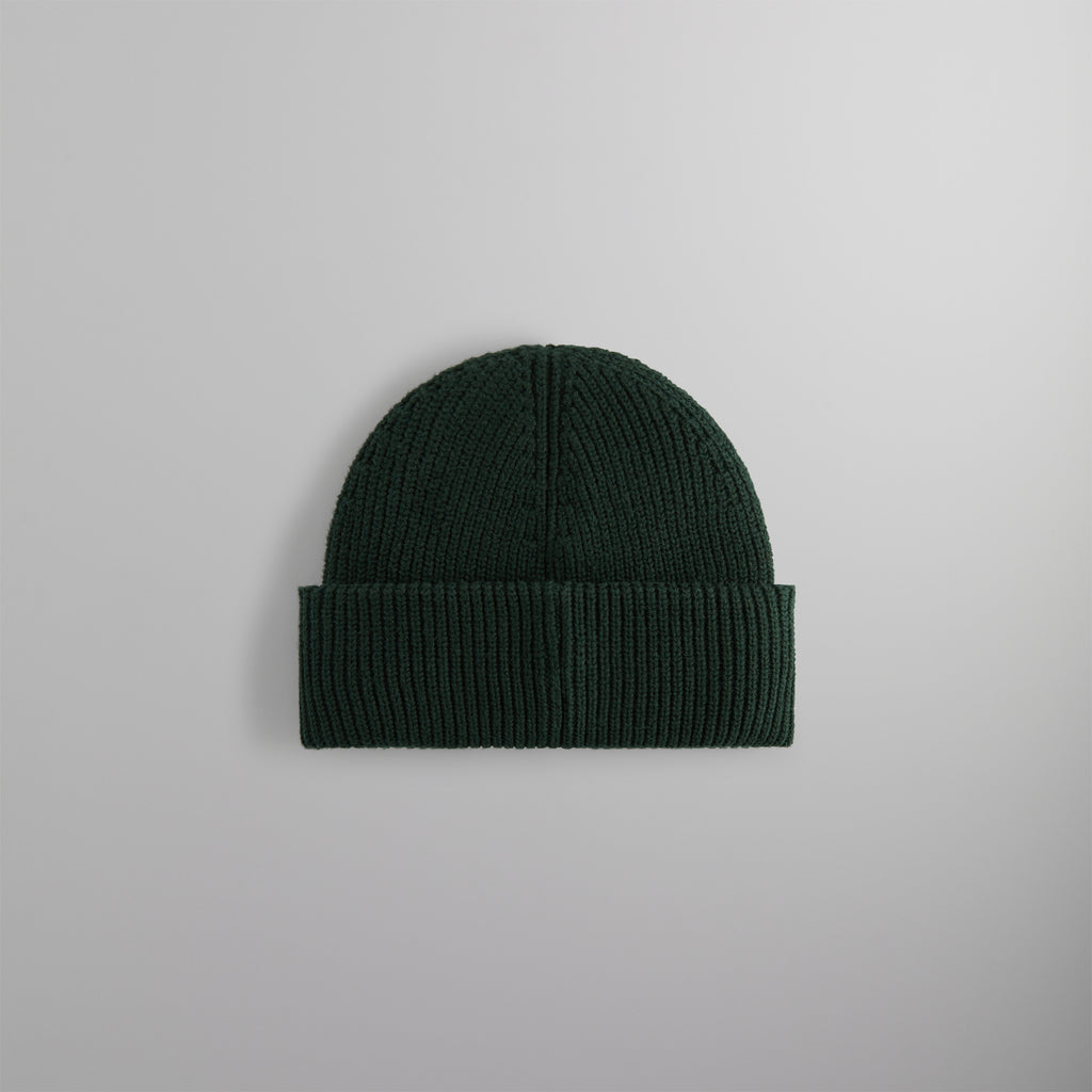 Kith Script Rose Felt Embroidery Cotton Beanie - Stadium