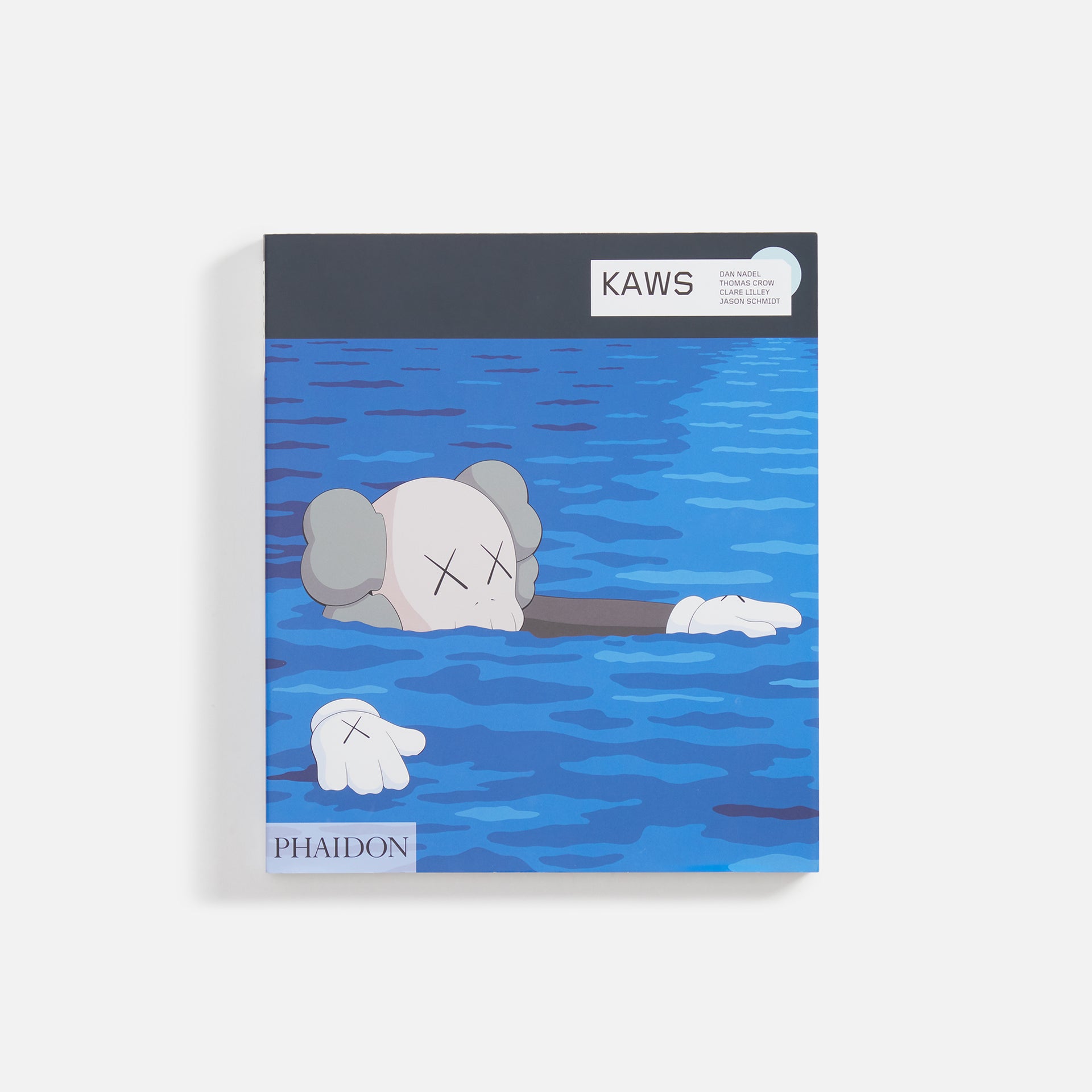 Phaidon KAWS Contemporary Artists Series