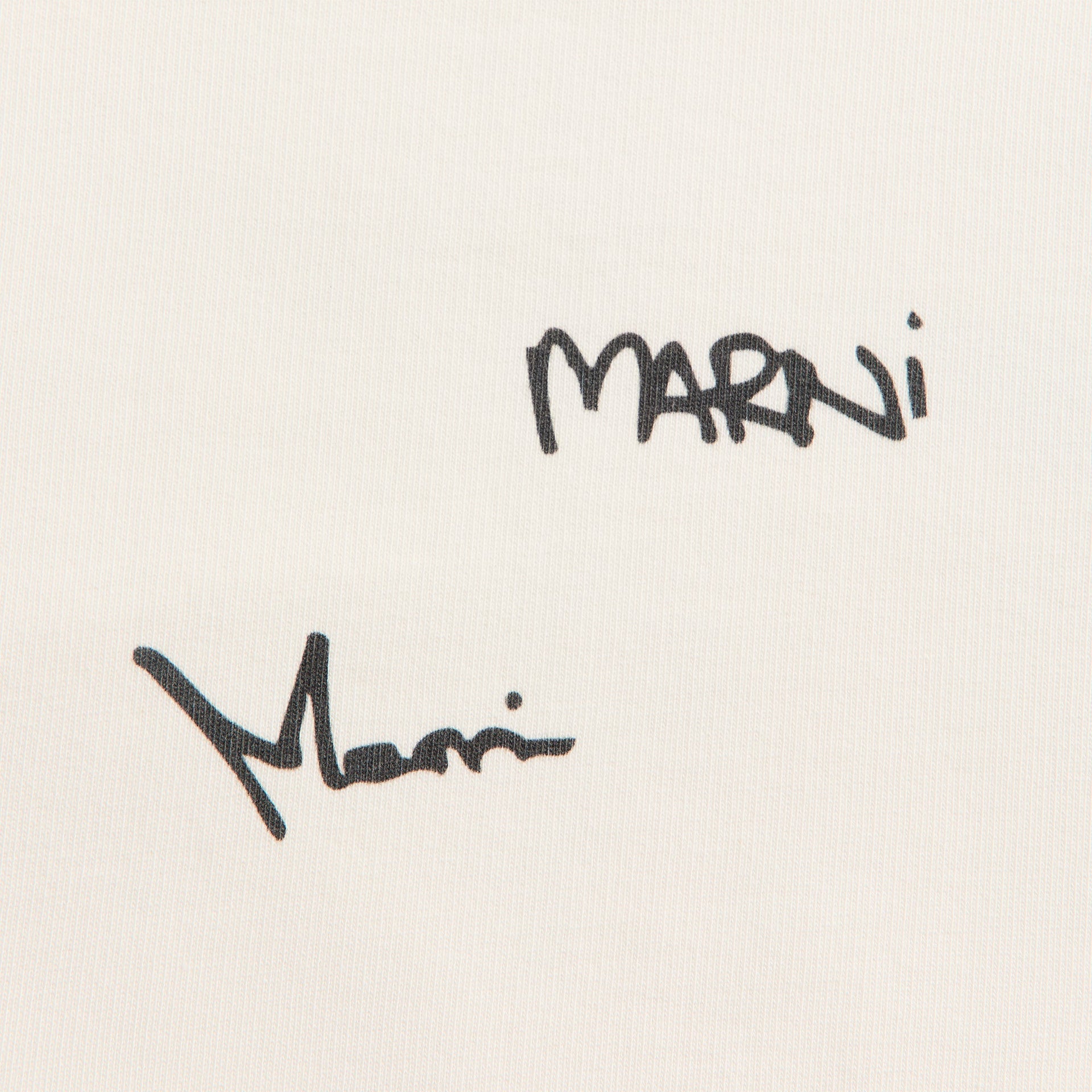 Marni Long Sleeve Sweatshirt in Natural White