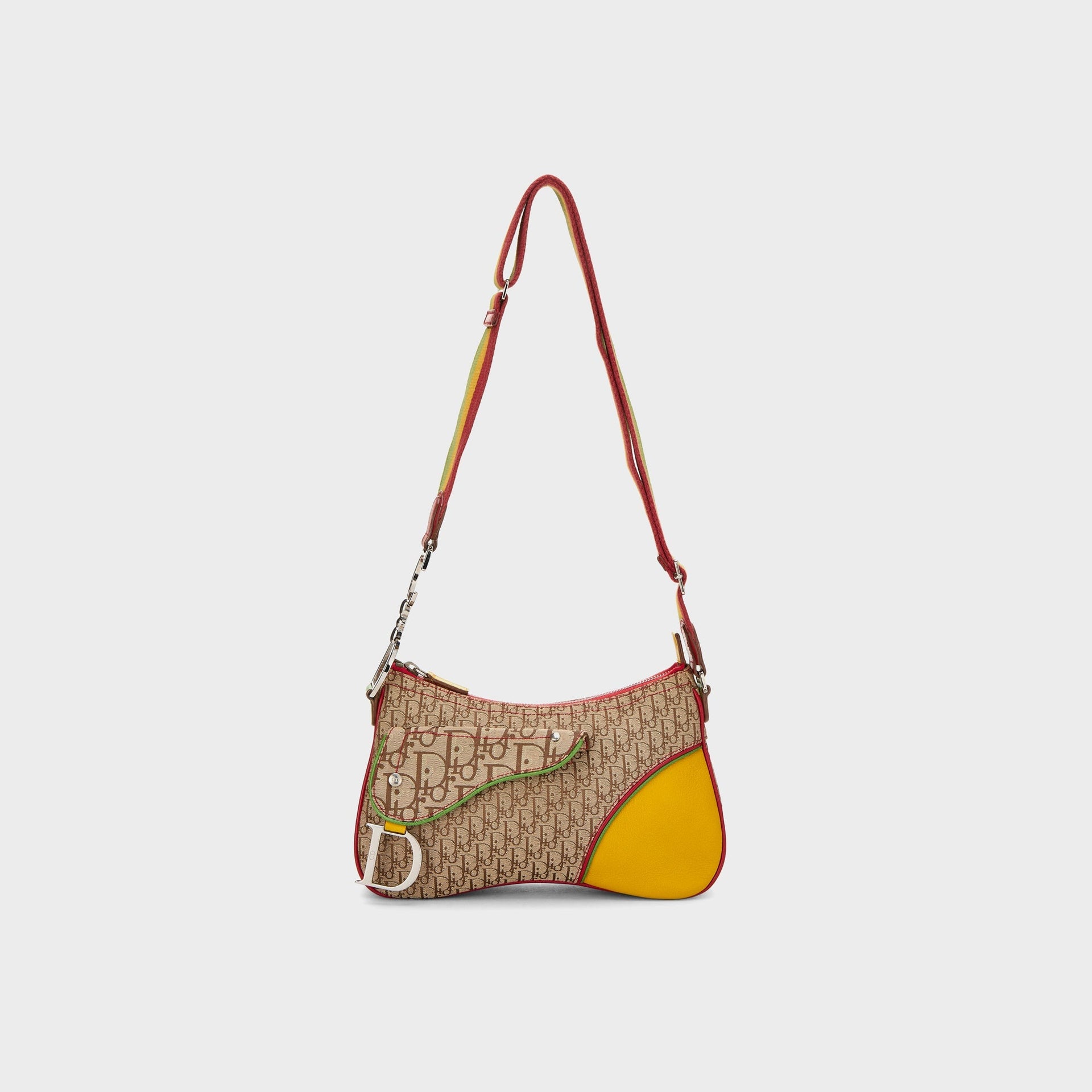 WGACA Dior Trotter Rasta Double Saddle in Multi