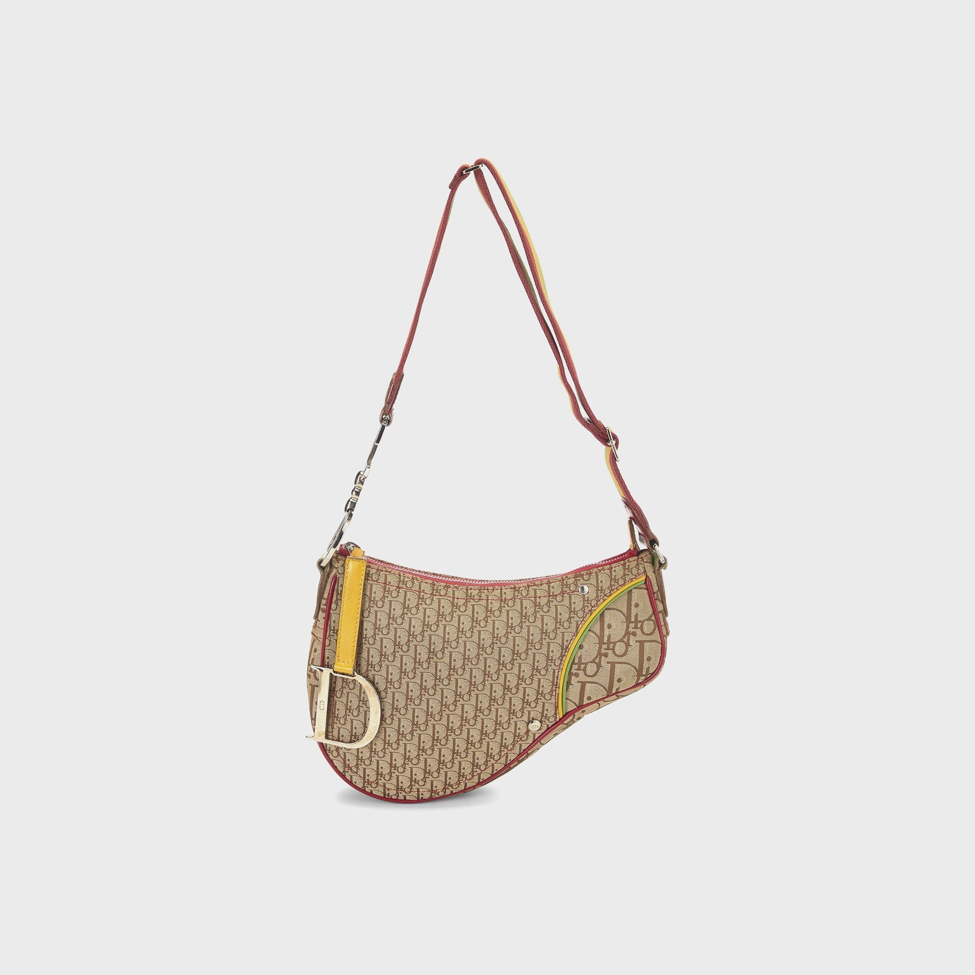WGACA Dior Canvas Rasta Saddle Pochette in Multi