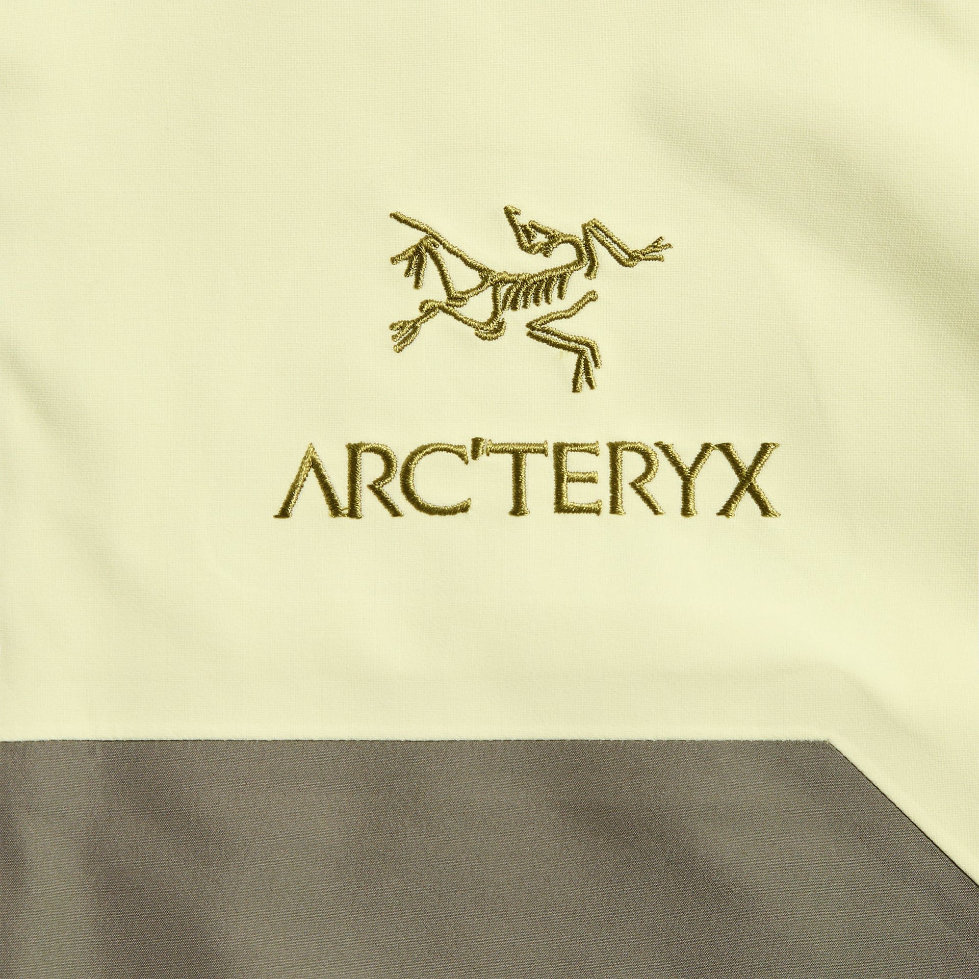 Arc'teryx Beta AR Jacketin Ray / Forage
