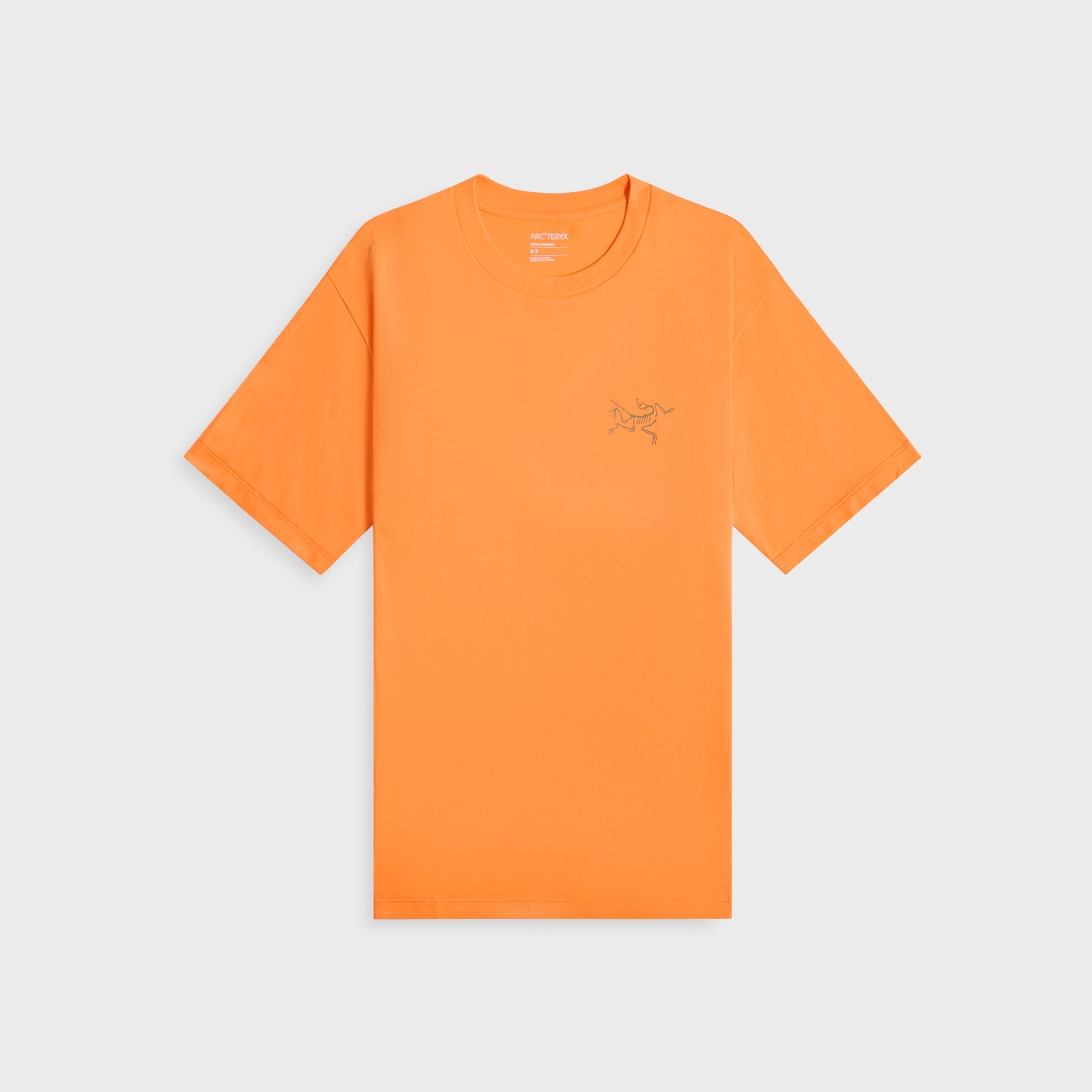 Arc'teryx Kragg SL Cotton in Verve