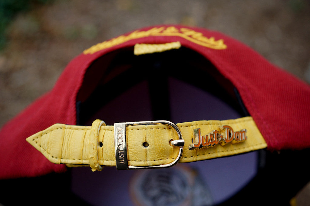 Just Don X Mitchell And Ness NFL Washington Redskins Hat At