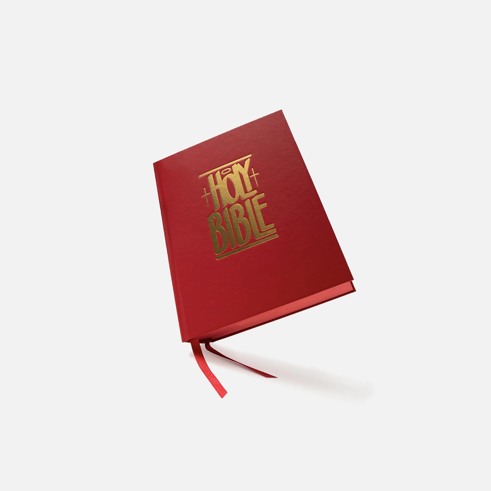 Good Publishing Co. GPC NIV BIBLE with HAZE