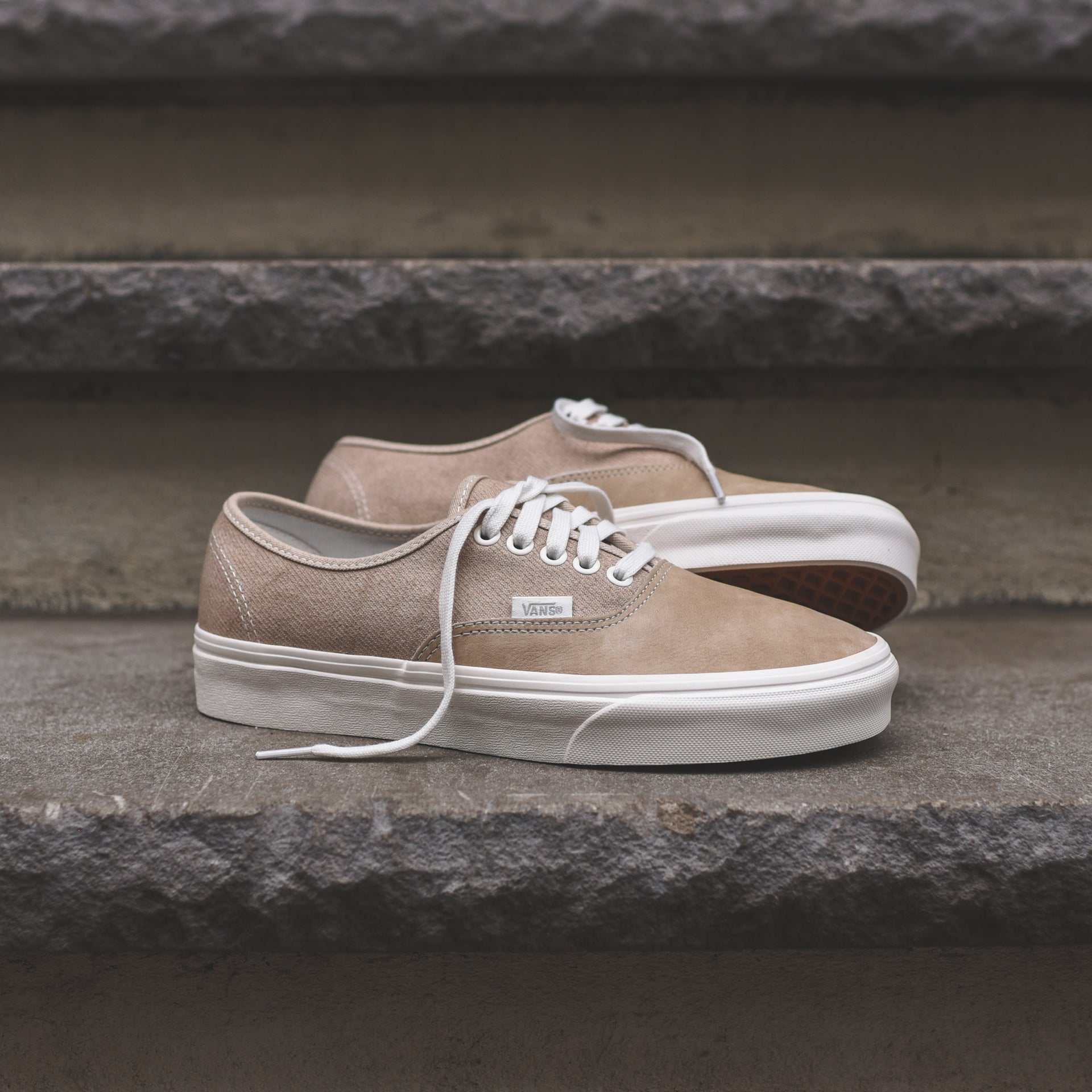 Vans Authentic - Humus / Blanc