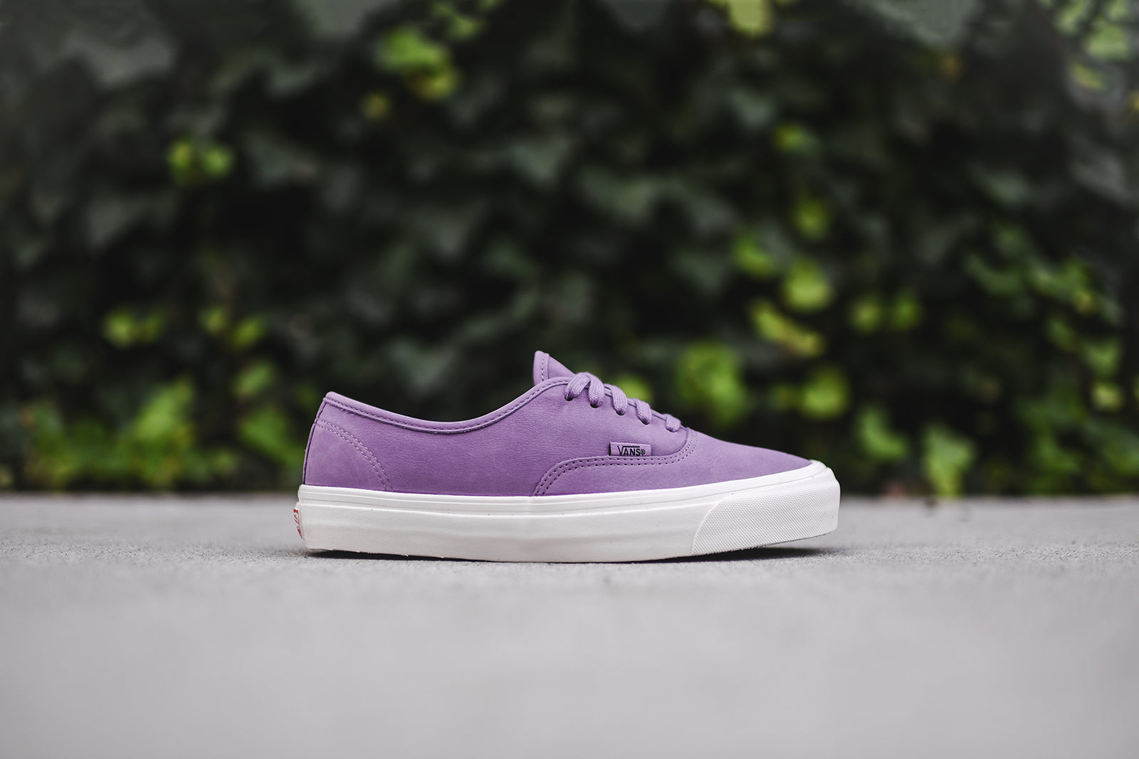 Vans OG Authentic LX - Orchid Mist