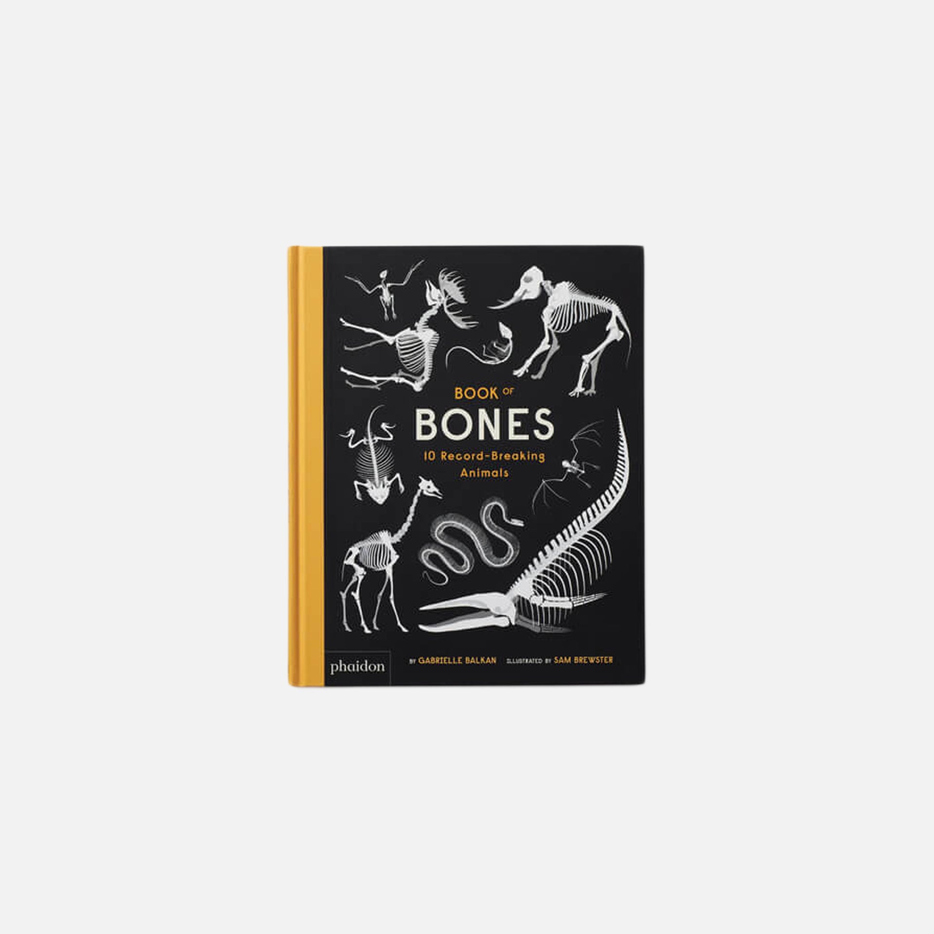 Phaidon Whose Bones?