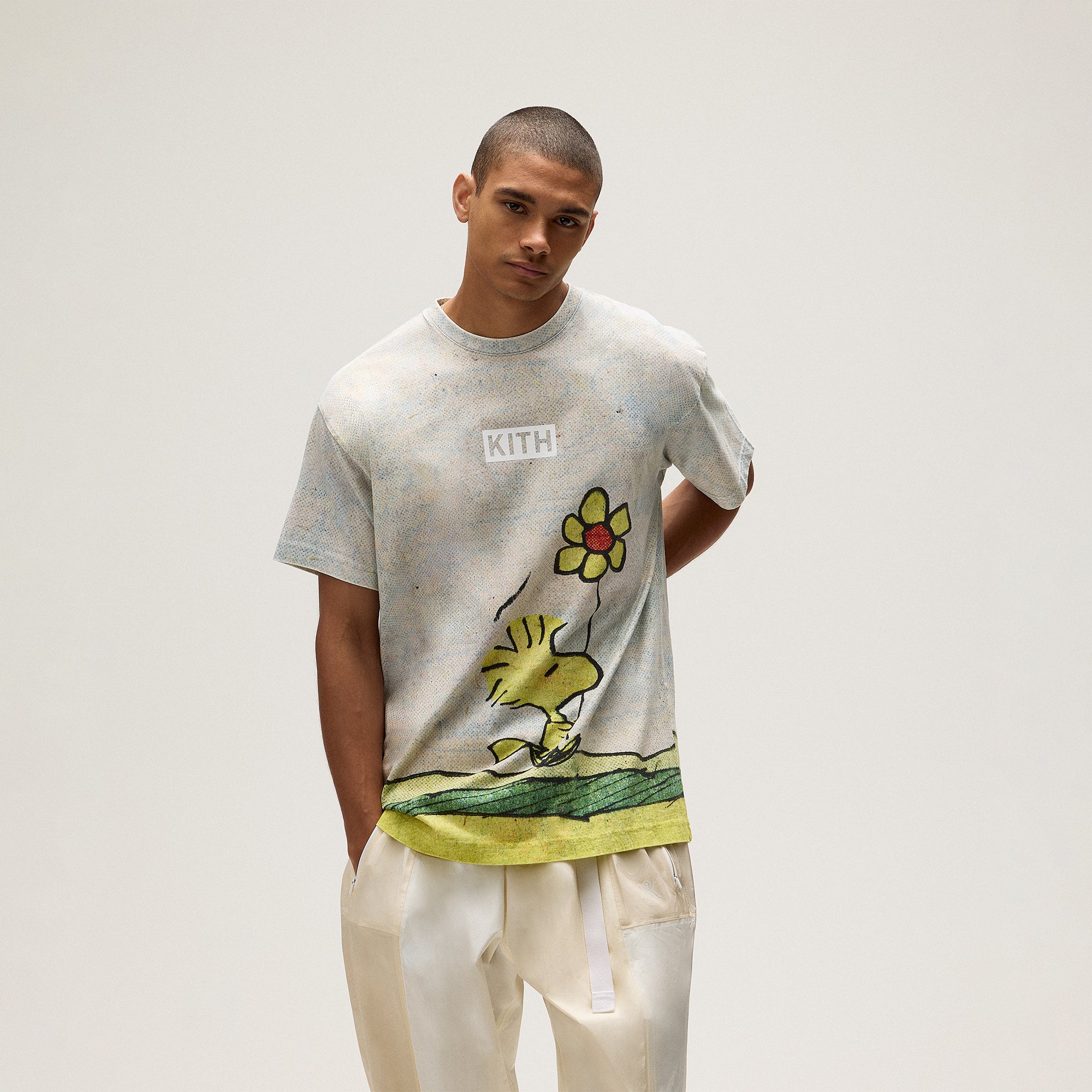 Kith for Peanuts Woodstock Comic Vintage Tee - Chalk Kith for Peanuts Woodstock Comic Vintage Tee - Chalk