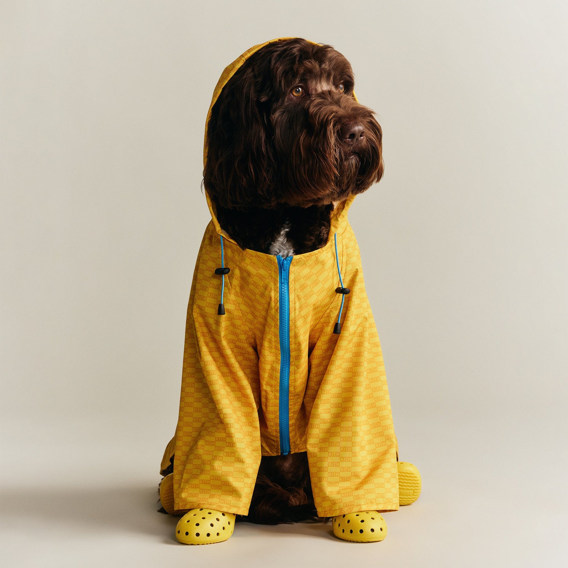 Kith for wagwear Nylon Rainbreaker - Yellow