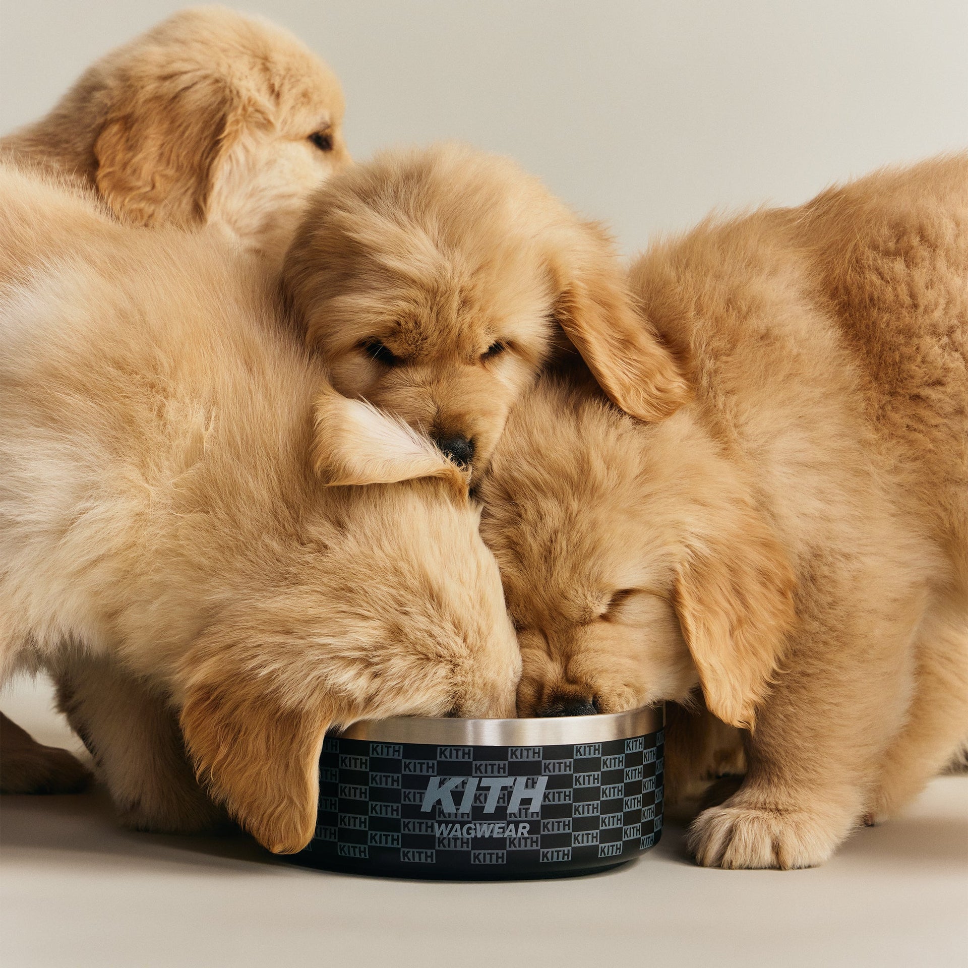 Kith for wagwear Metal Dog Bowl - Black