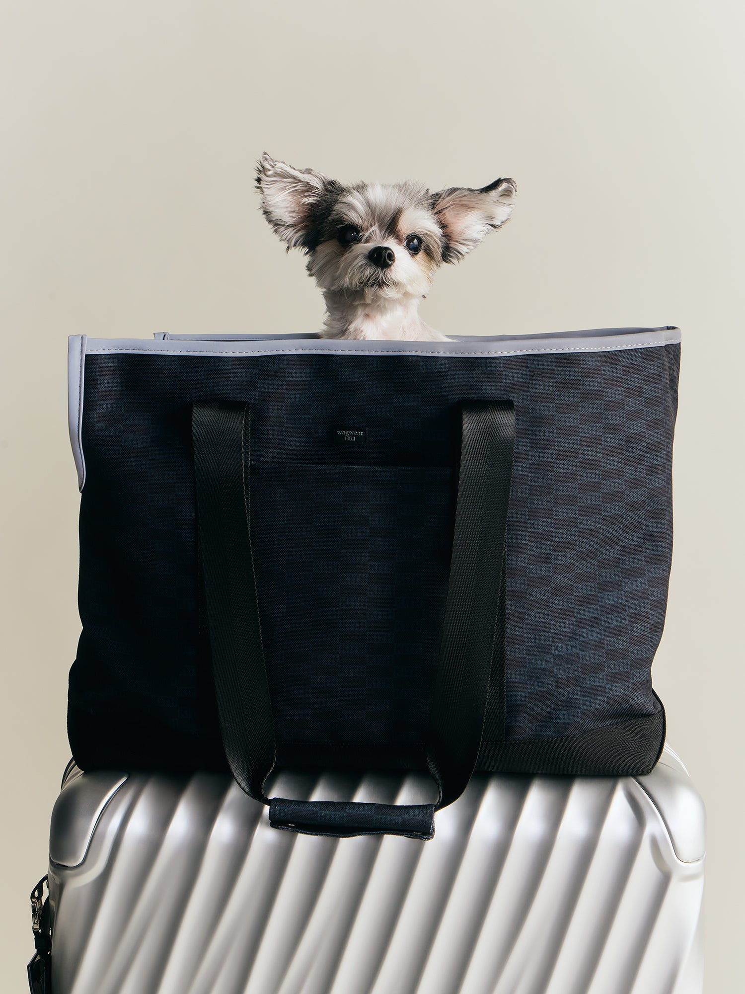 Kith wagwear XSサイズ Kith for wagwear