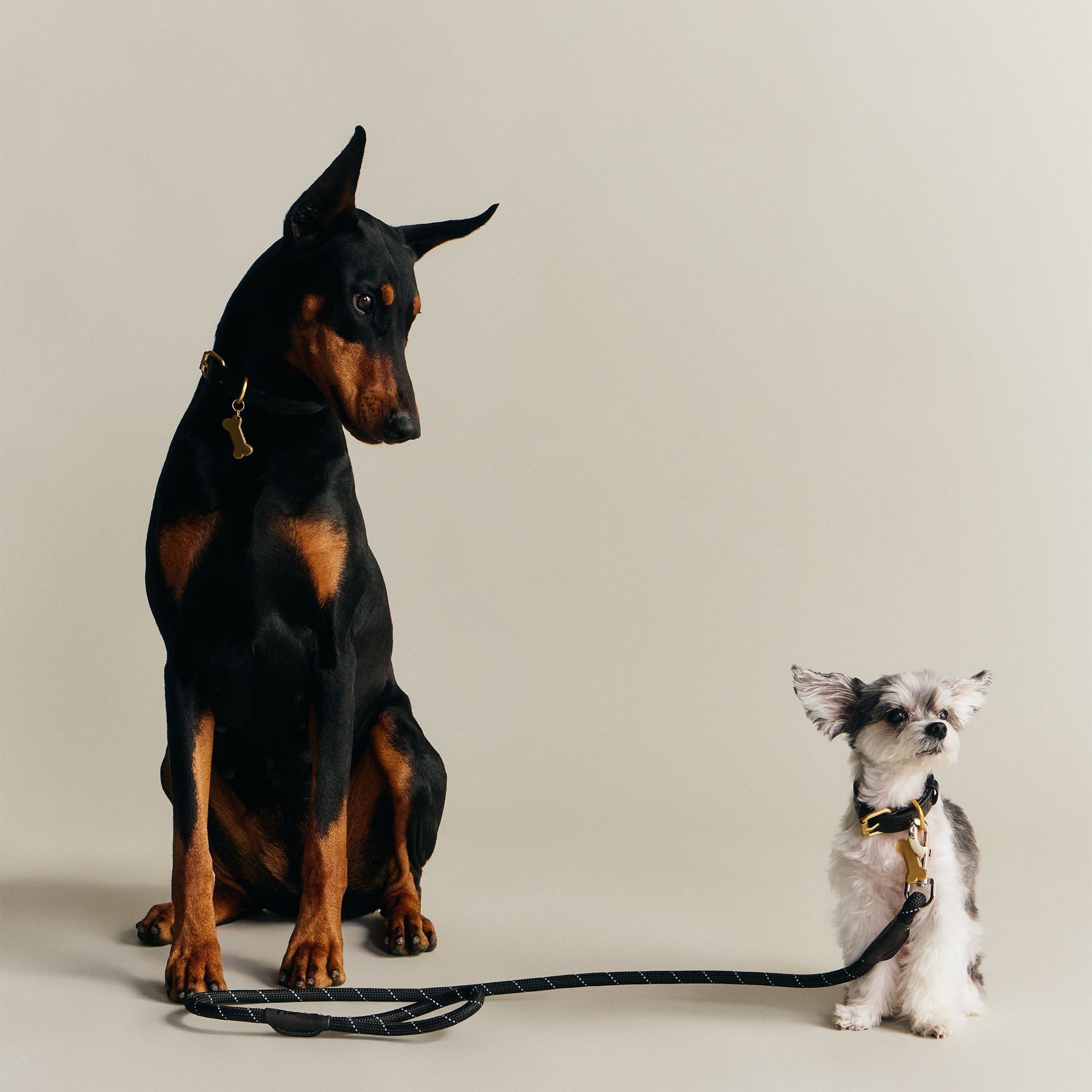 Kith for wagwear Rope Leash - Black - PH