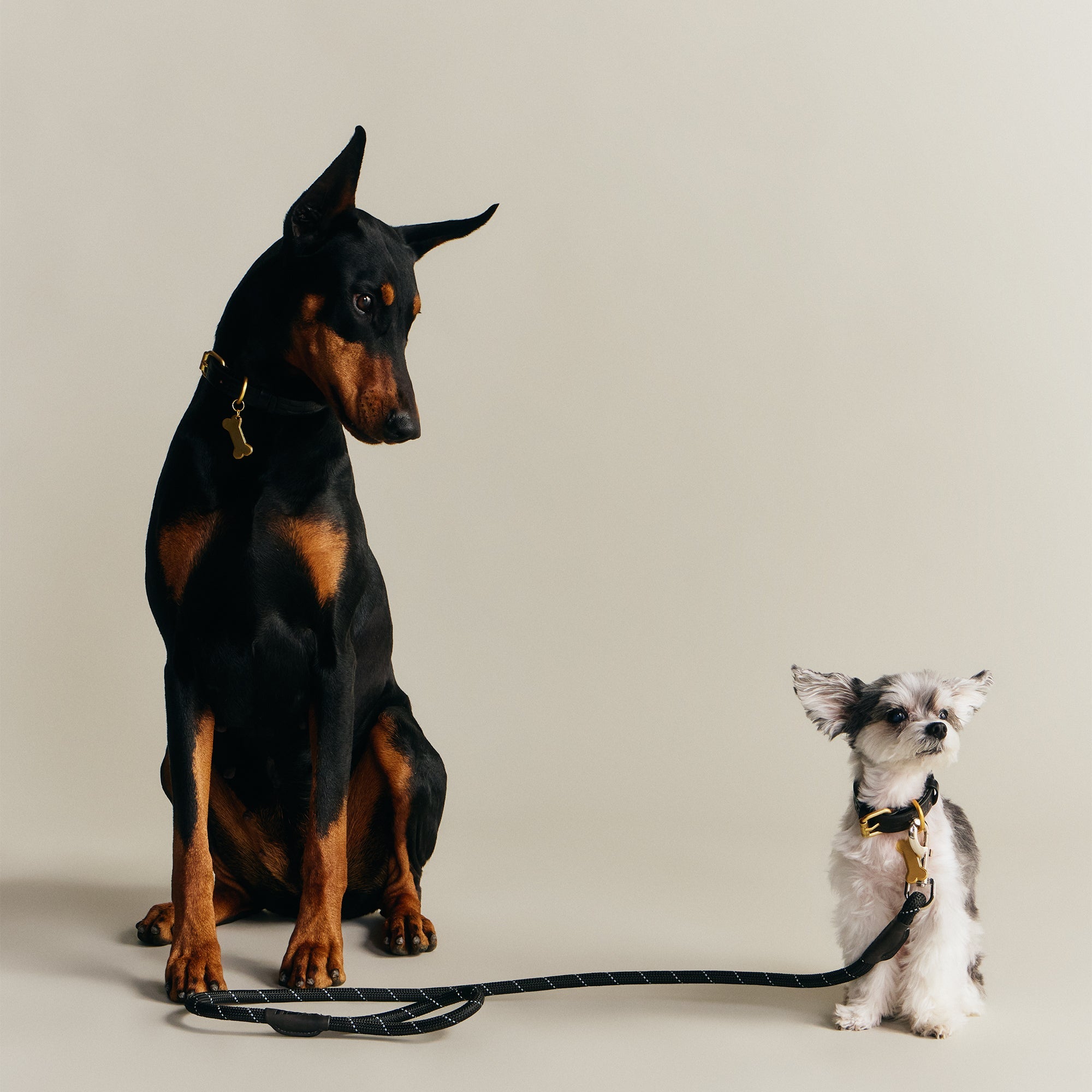 Kith for wagwear Rope Leash - Black