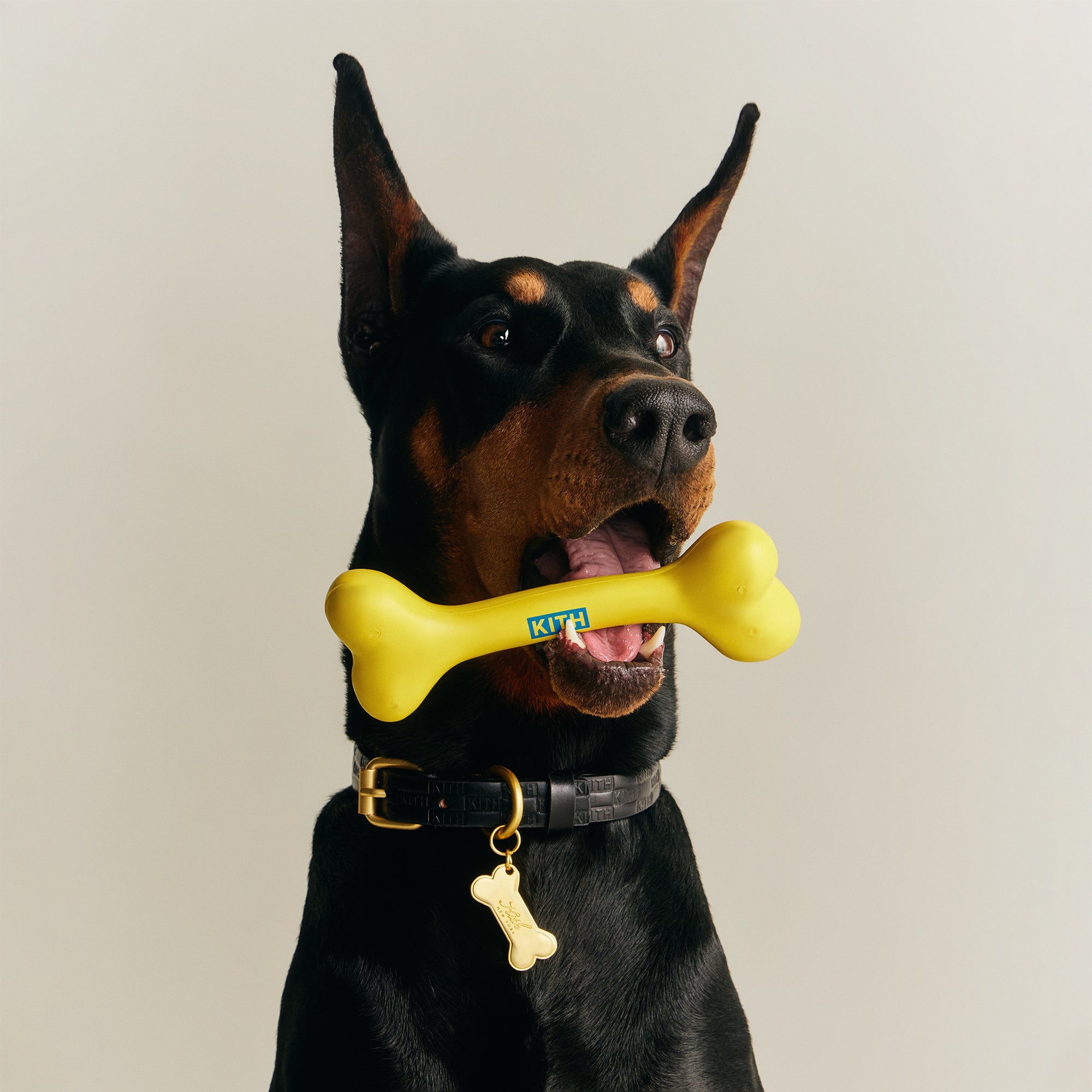 Kith for wagwear Bone - Yellow