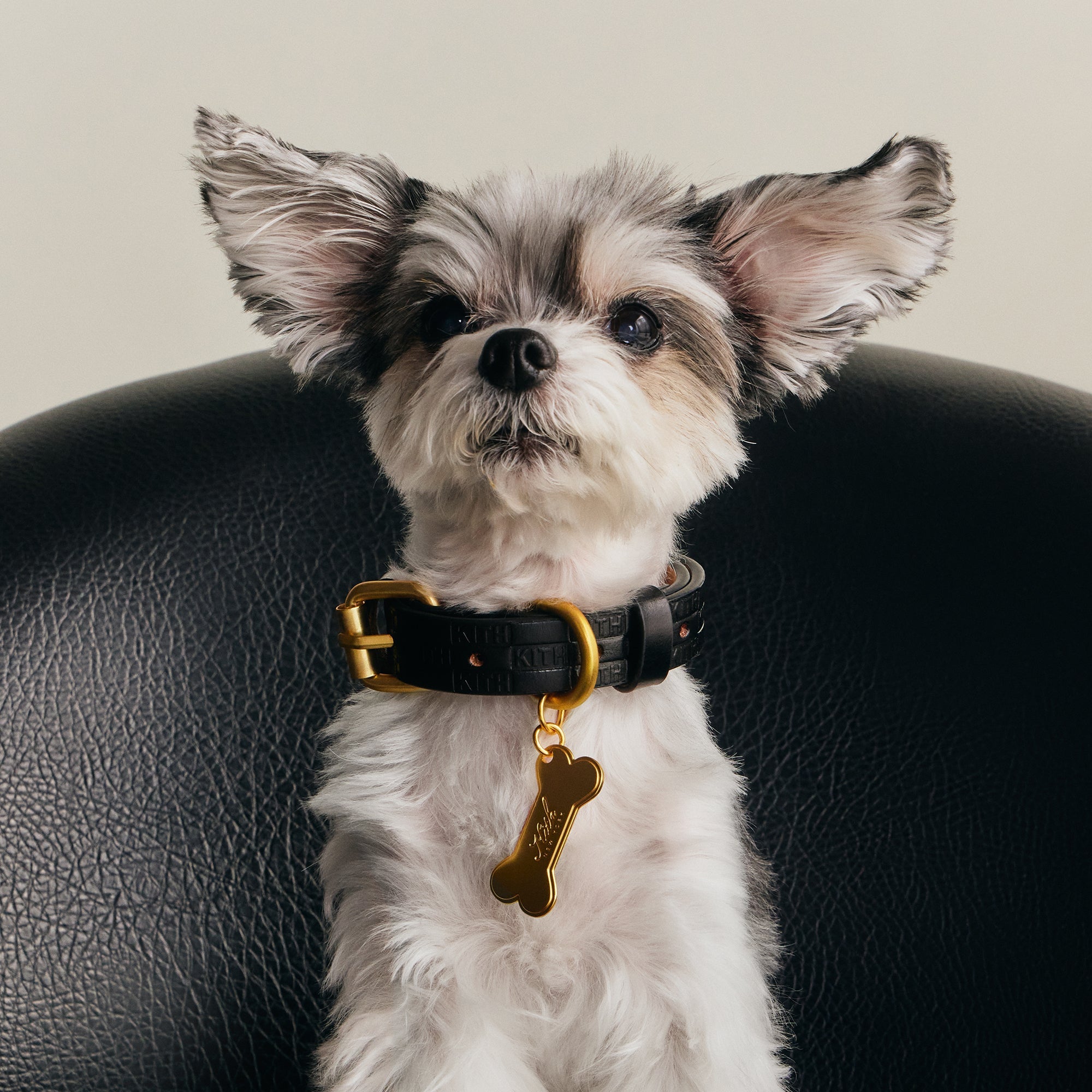 Kith Monogram Leather Collar サイズM 犬用 首輪 Kith Monogram Leather Collar - Black