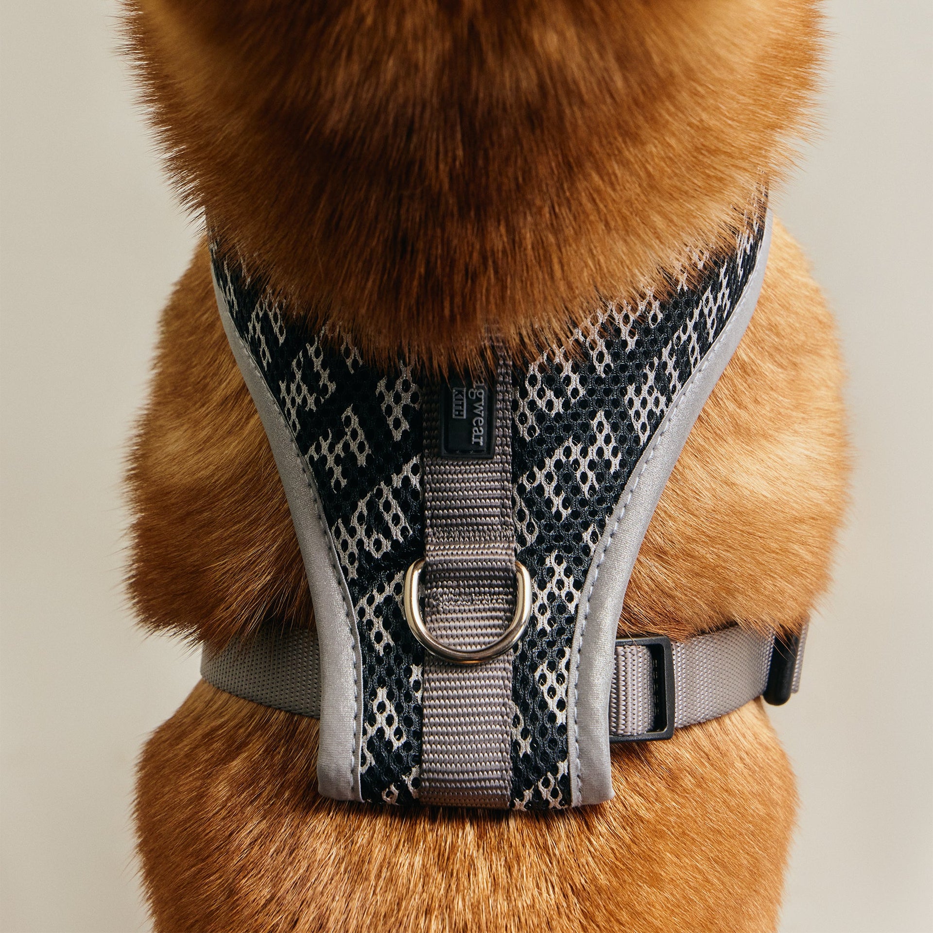 Kith for wagwear Padded Harness - Black