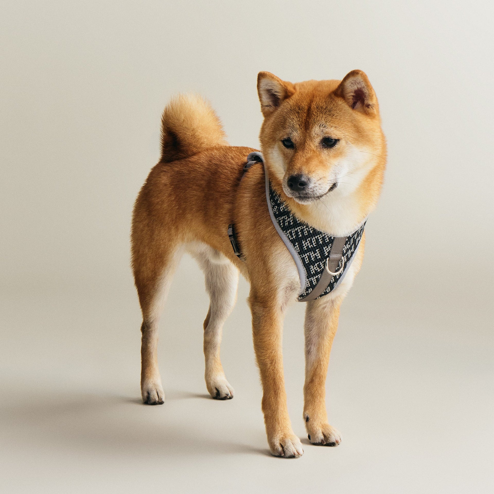 Kith for wagwear Padded Harness - Black