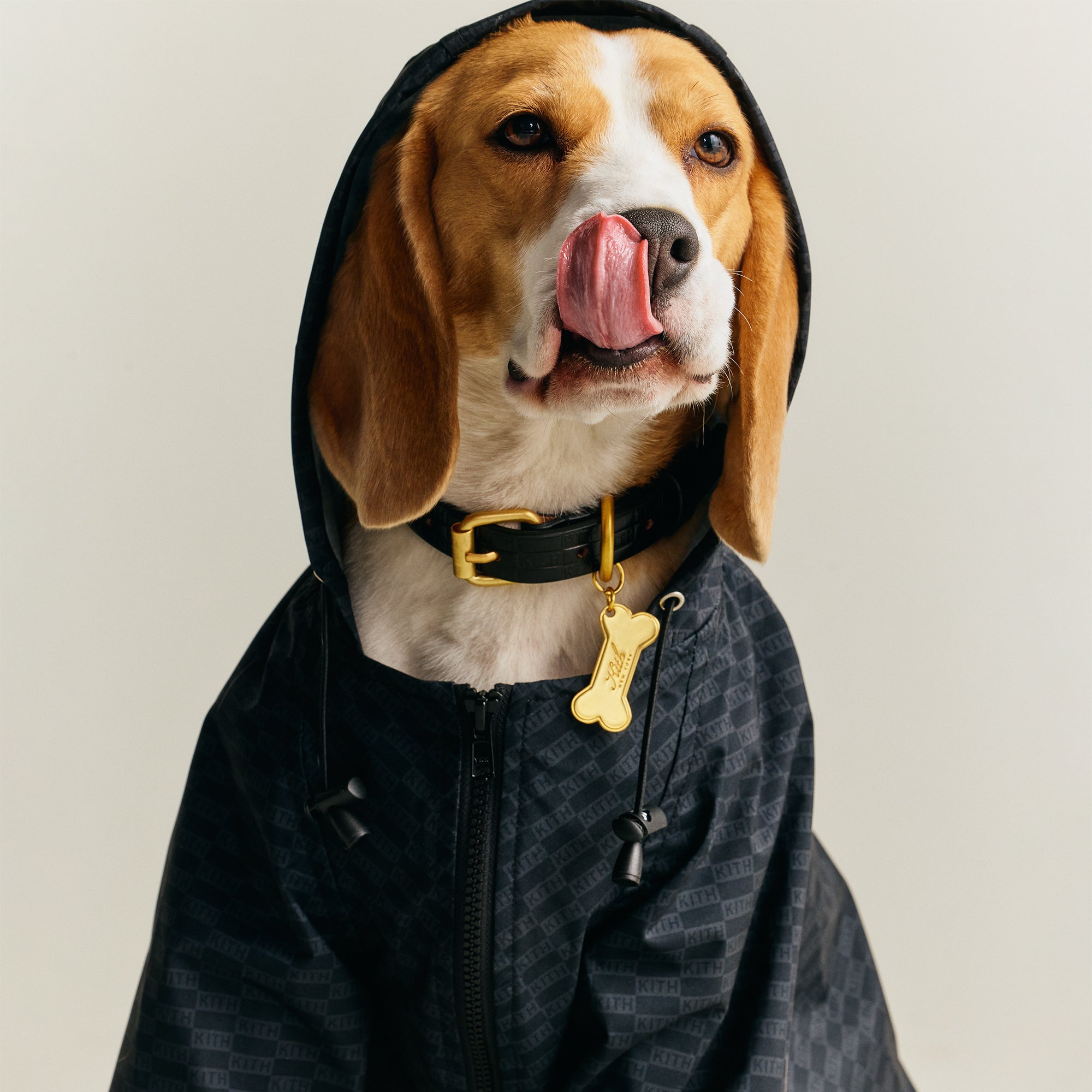 新品 Kith for wagwear Nylon Rainbreaker L Kith for wagwear Nylon Rainbreaker - Black