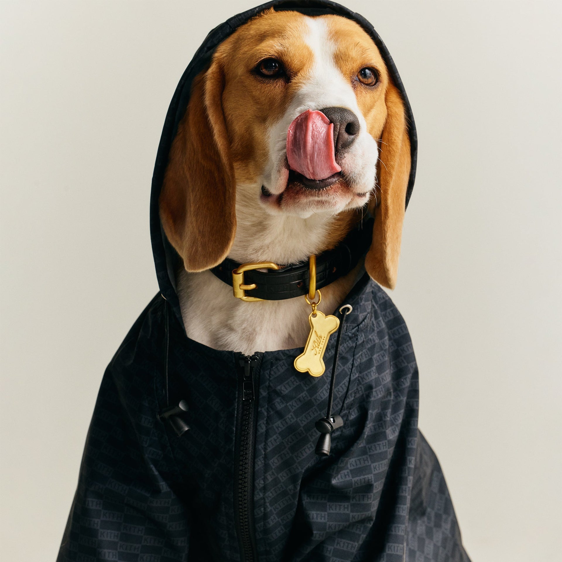 Kith for wagwear Nylon Rainbreaker - Black