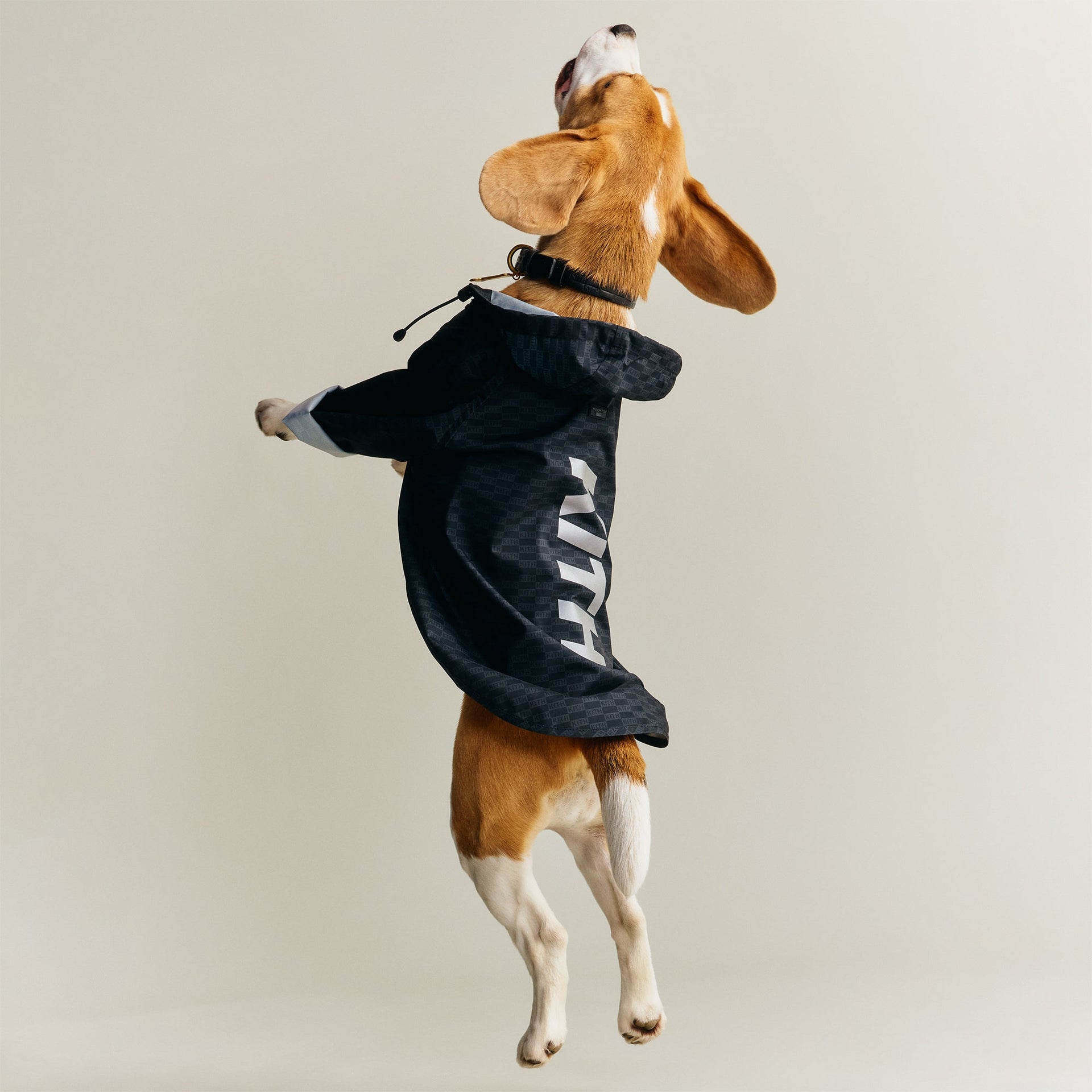 Kith for wagwear Nylon Rainbreaker - Black
