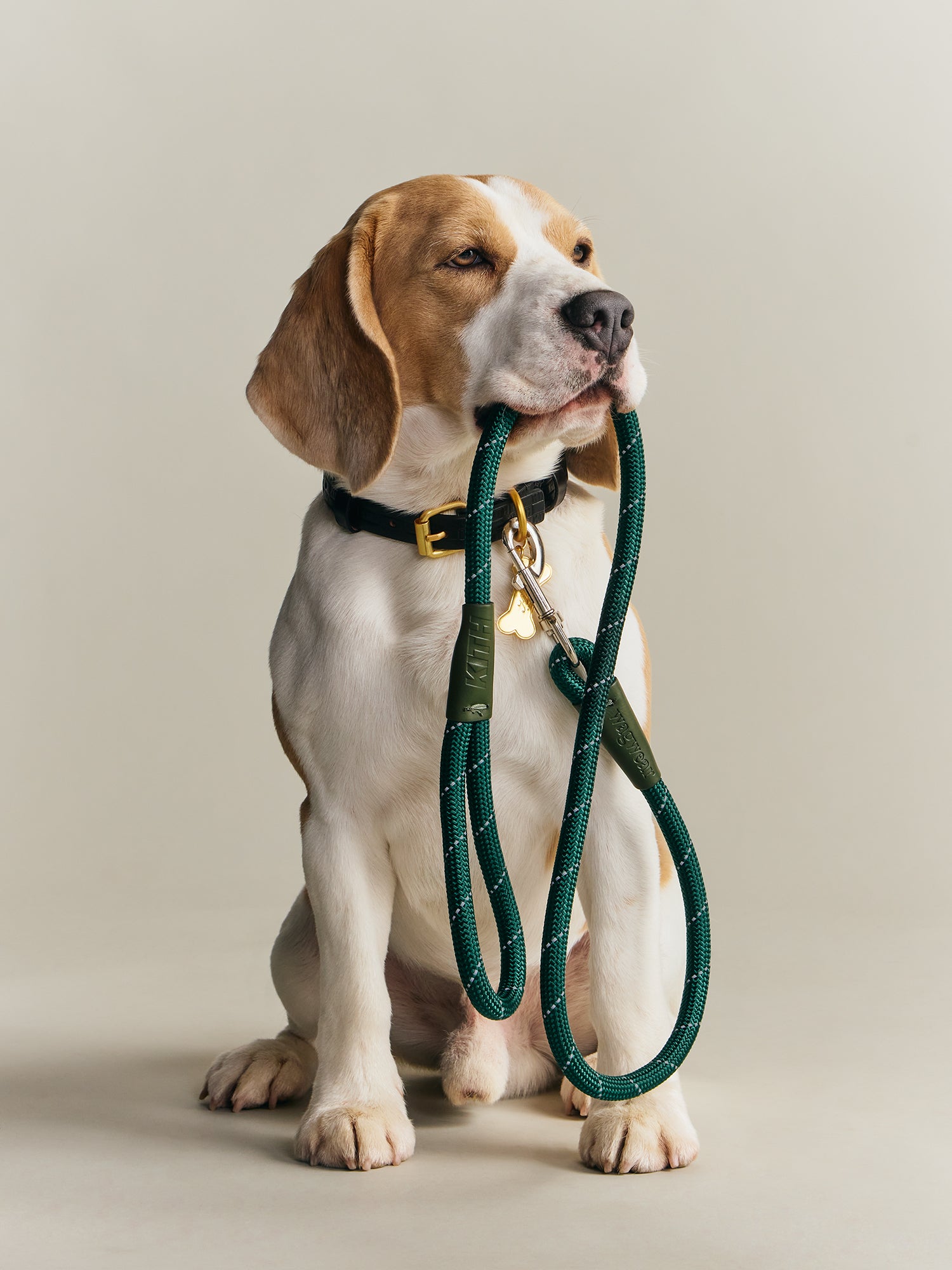 Kith wagwear XSサイズ Kith for wagwear – Kith Europe