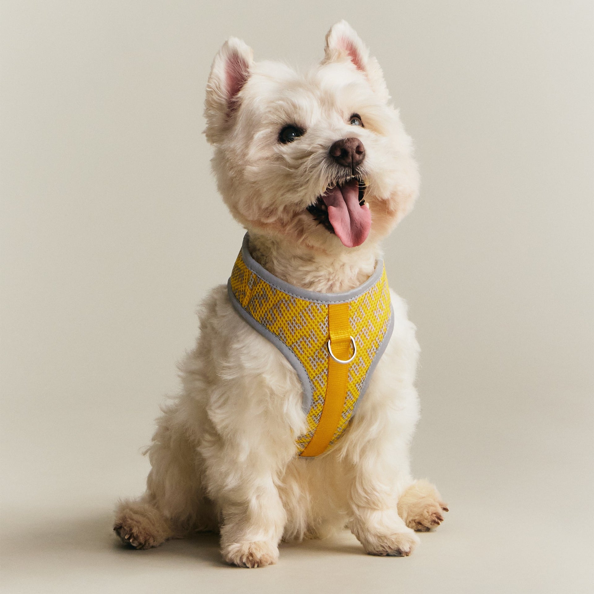 Kith for wagwear Padded Harness - Yellow