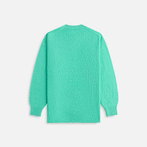 Auralee Brushed Wool Cashmere Silk Knit - Aqua Green