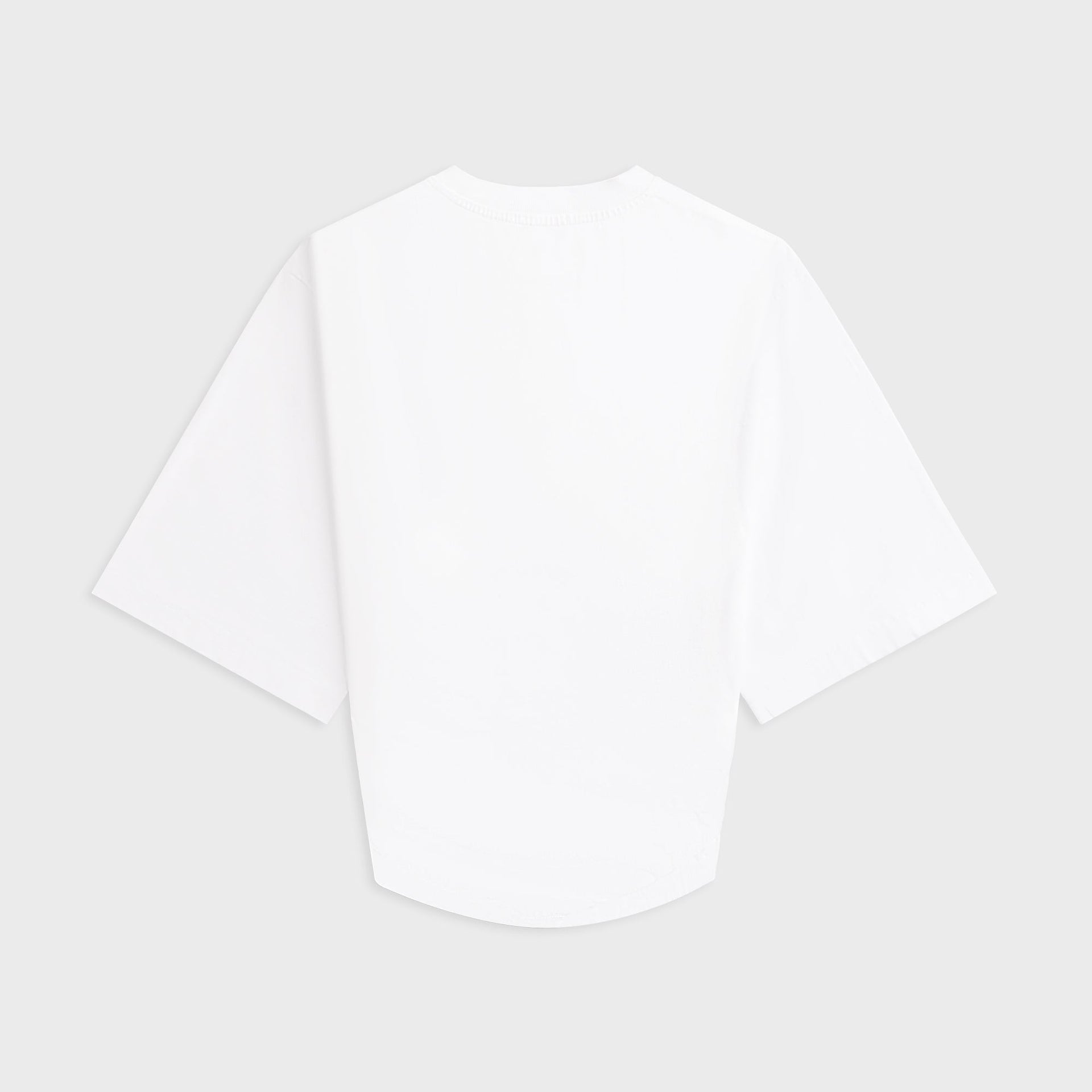 Agolde Shari Tee - White
