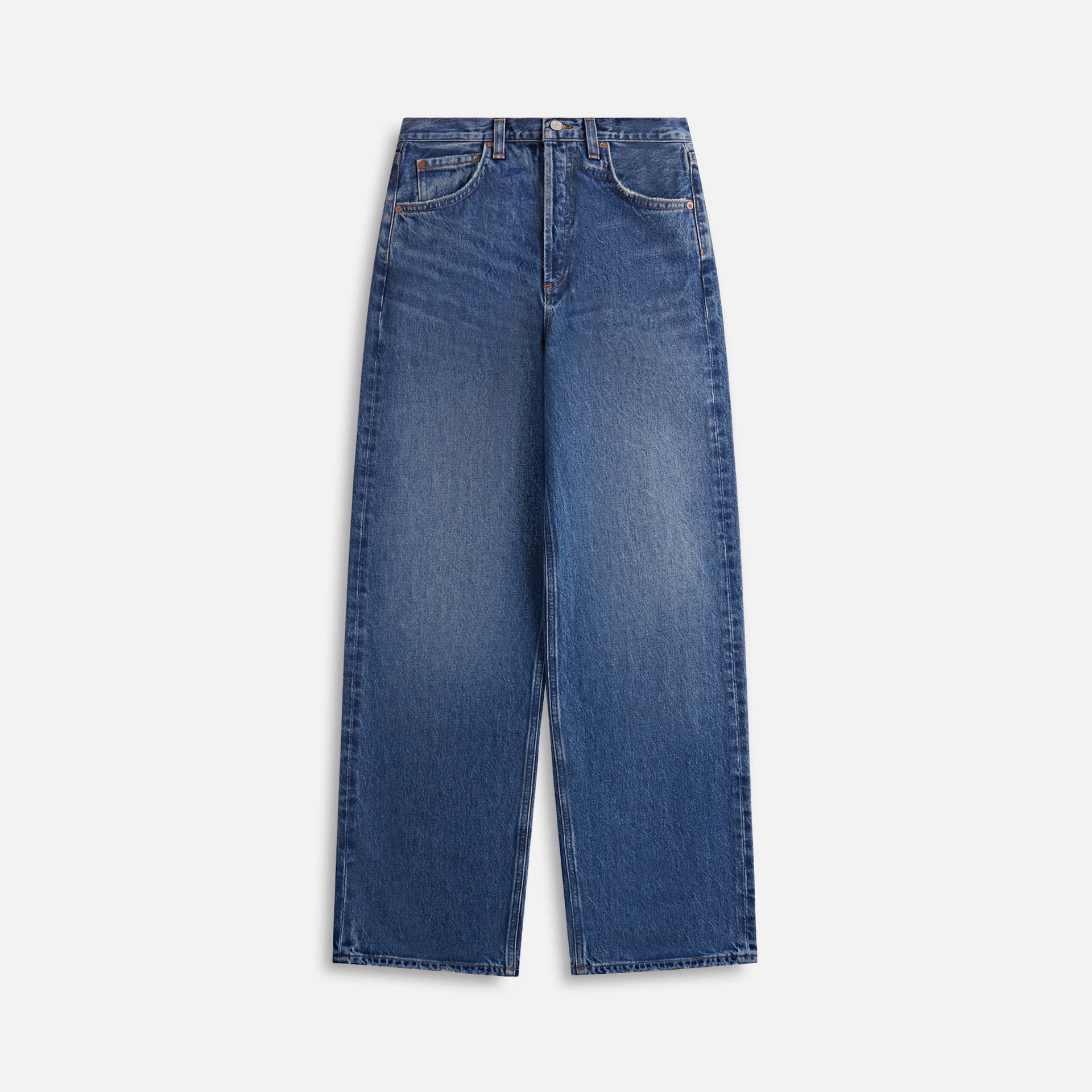 Agolde Low Slung Baggy Jean - Essence