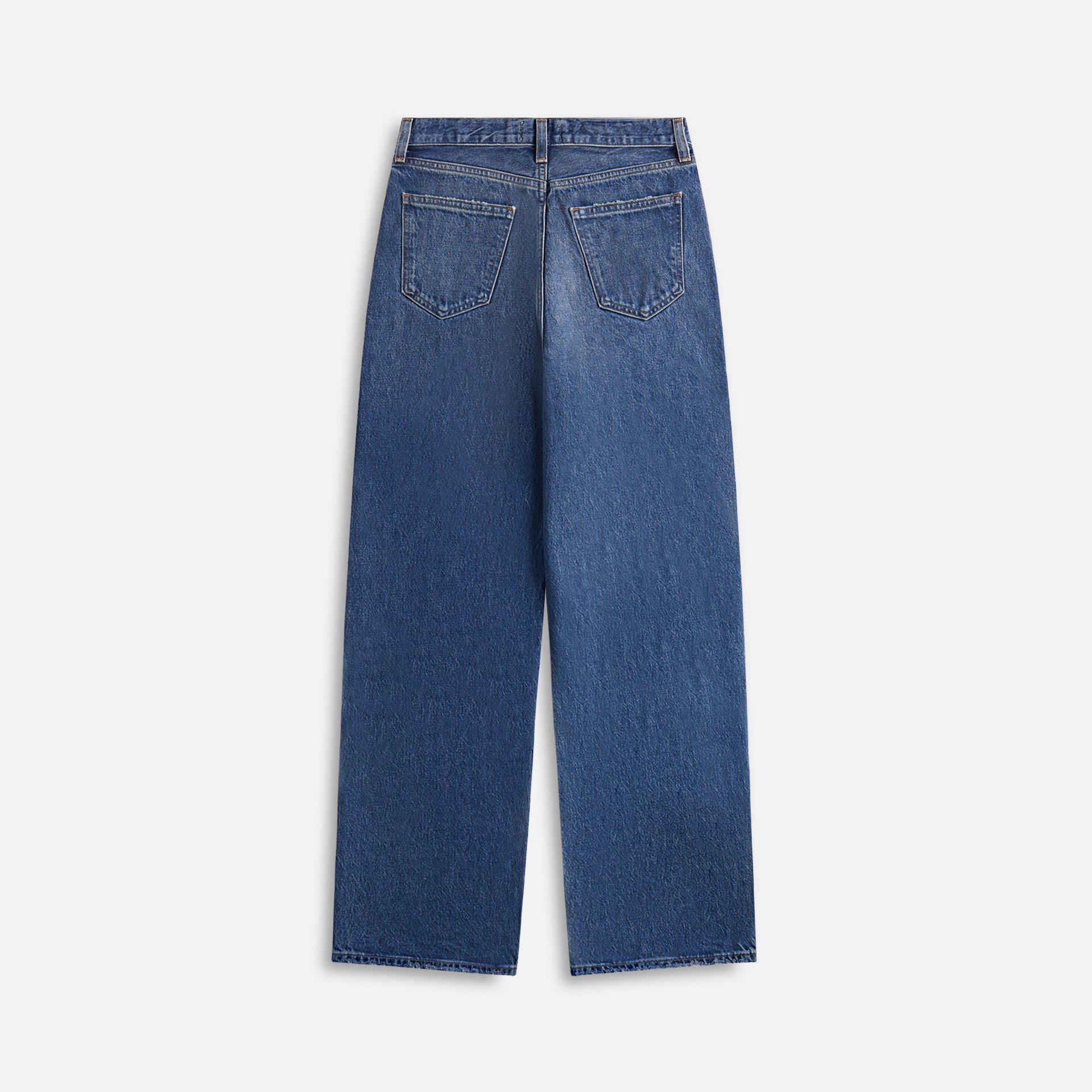 Agolde Low Slung Baggy Jean - Essence