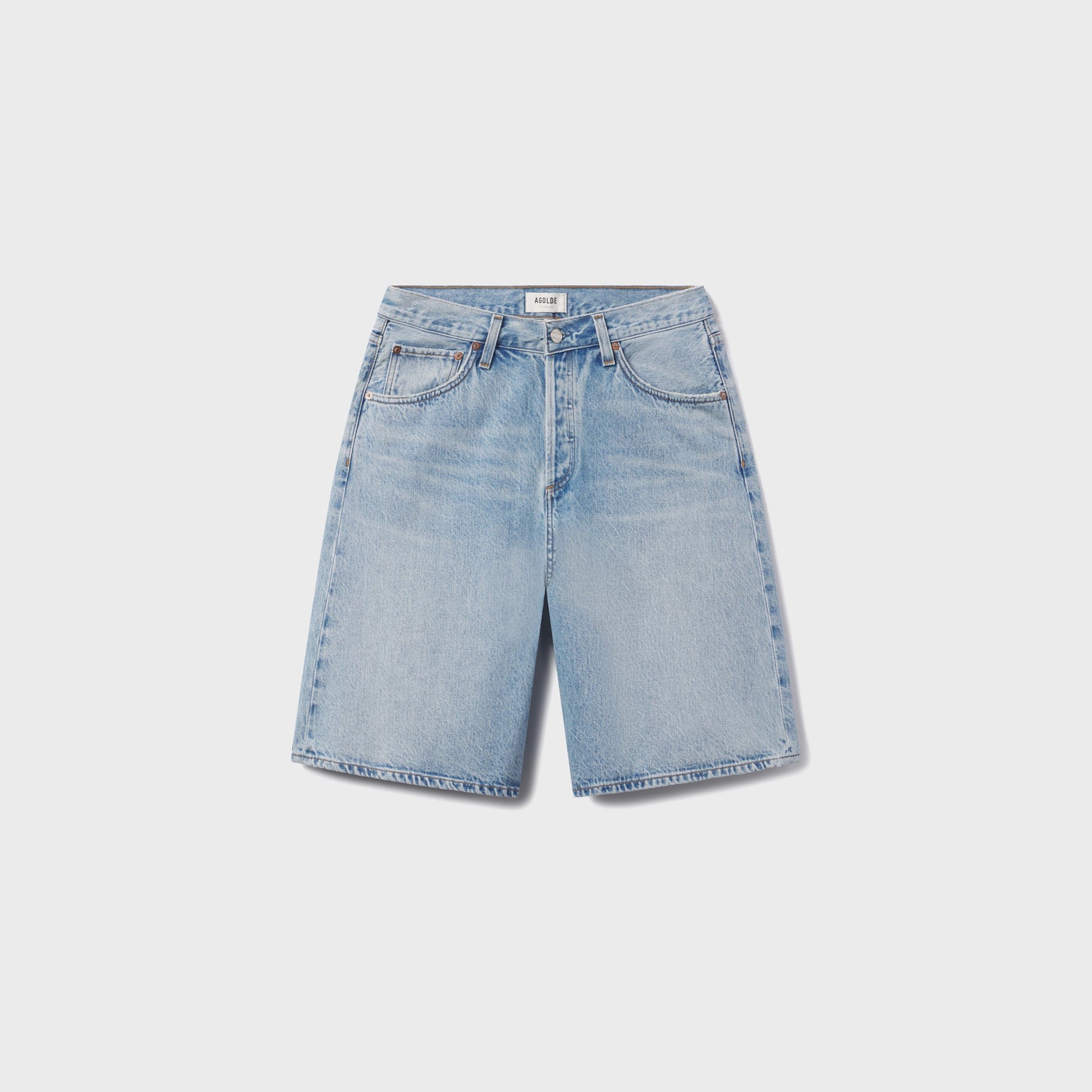 Agolde Baggy VinShort in Prevail