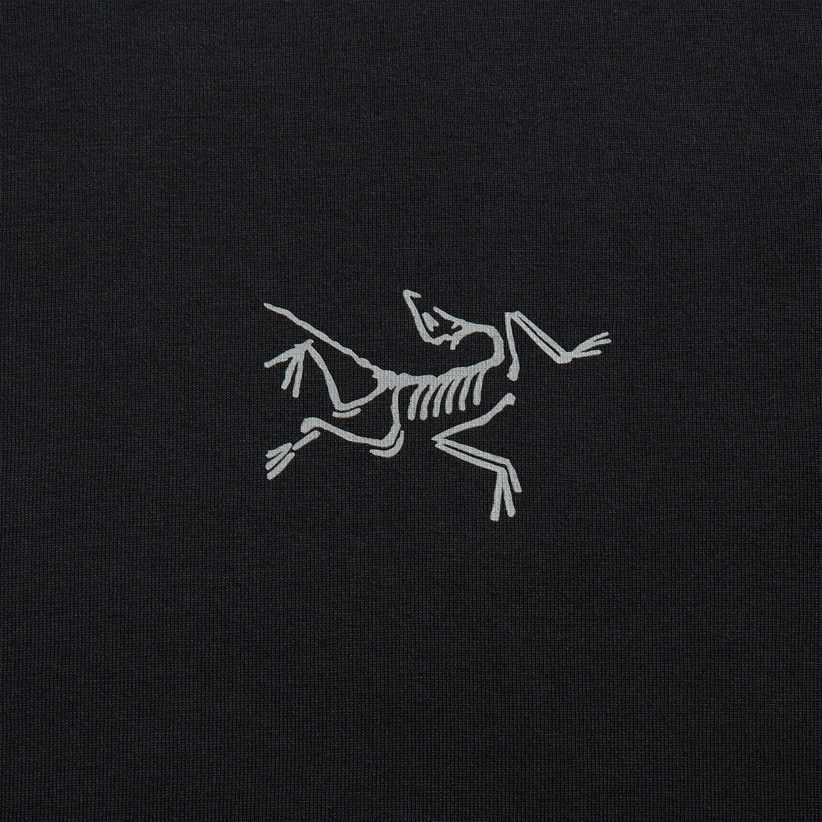 Arc'teryx Kragg SL Cotton Long Sleeve Tee - Black