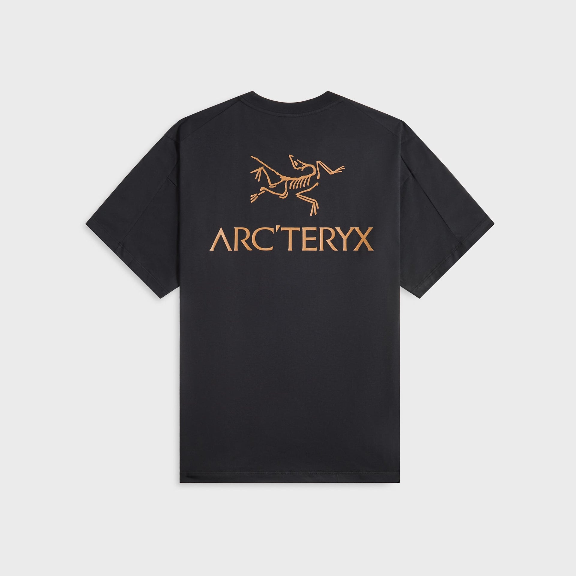 Arc'teryx Kragg SL Cotton Bird Word - 24K Black