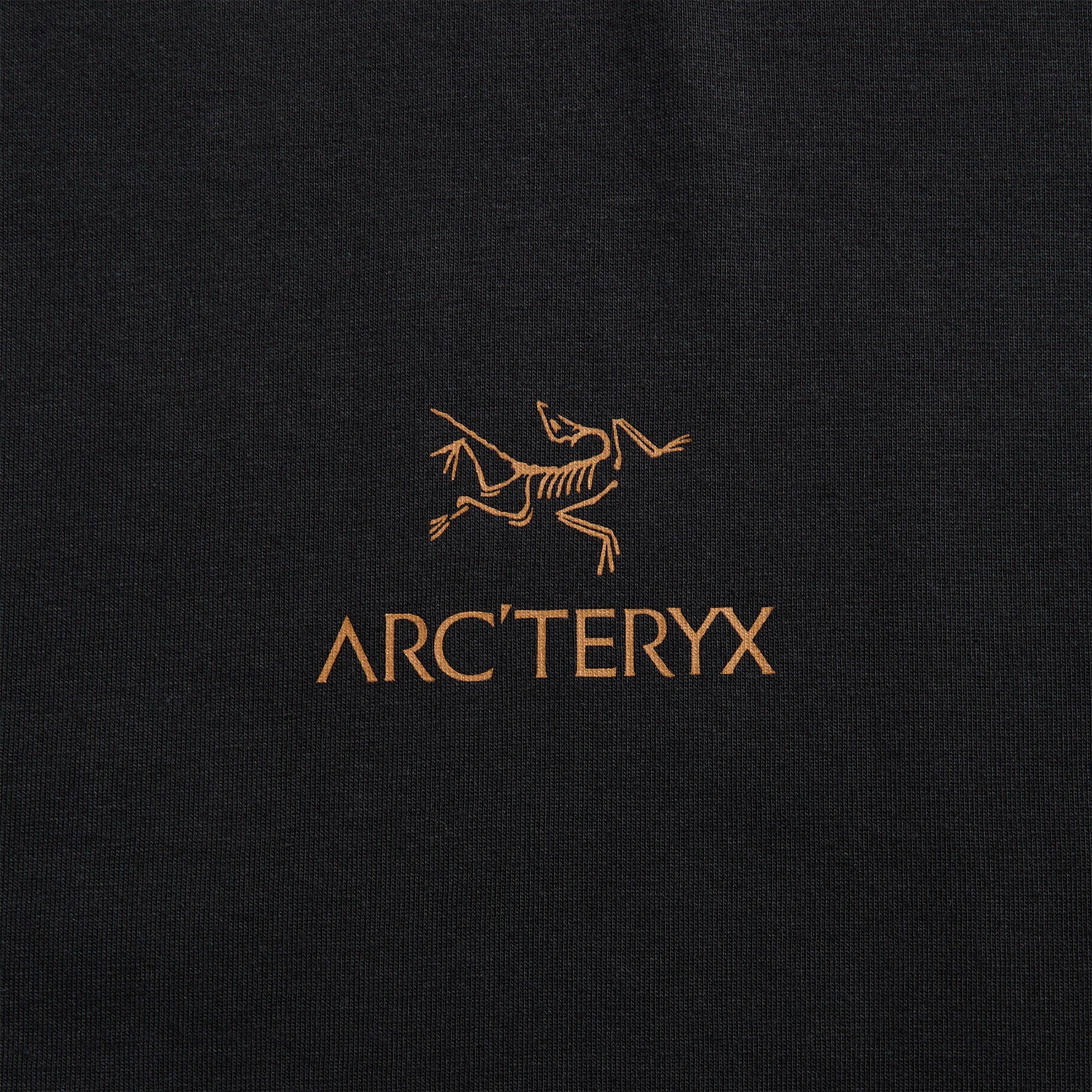 Arc'teryx Kragg SL Cotton Bird Word - 24K Black – Kith