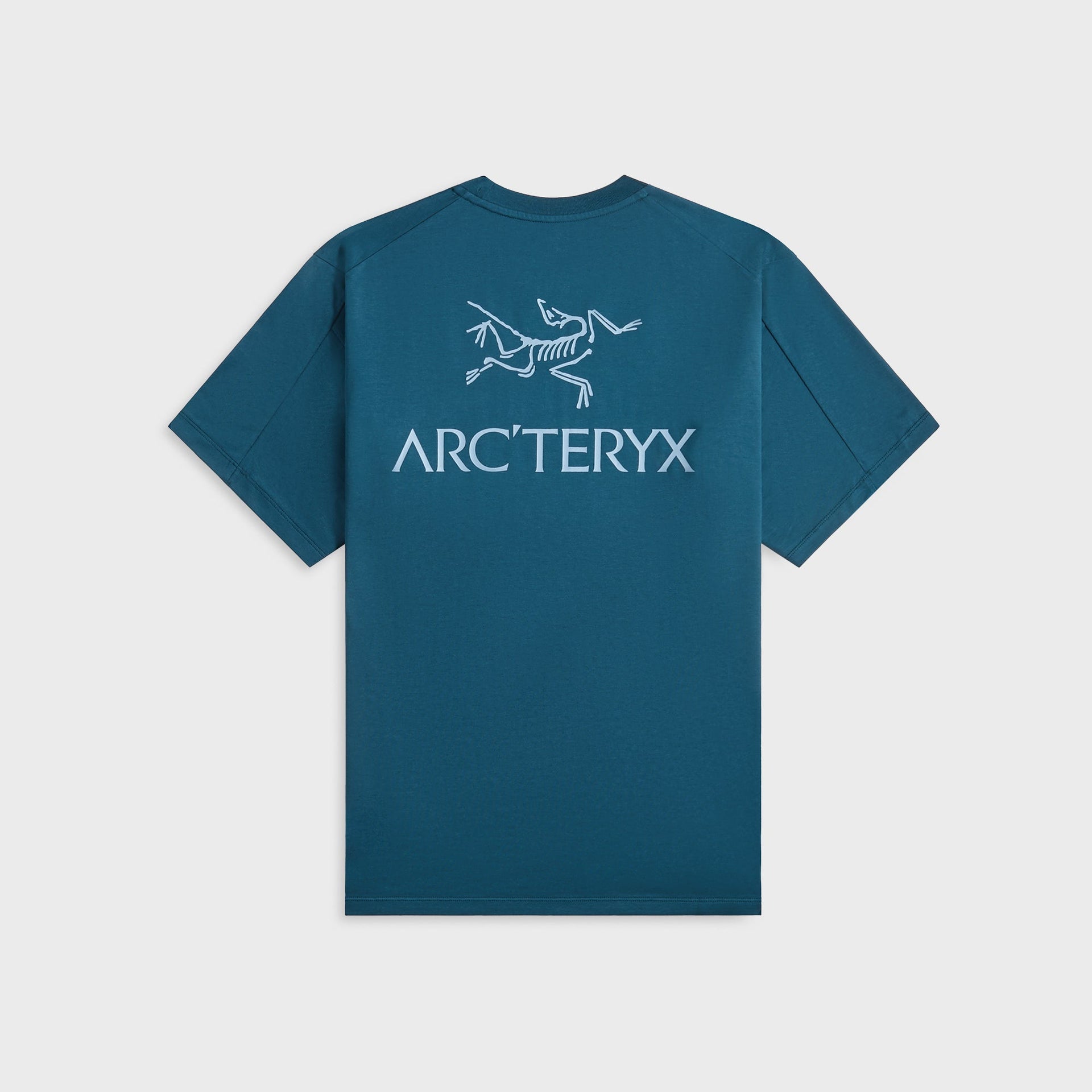 Arc'teryx Kragg SL Cotton Bird Word - Nightscape / Light Night