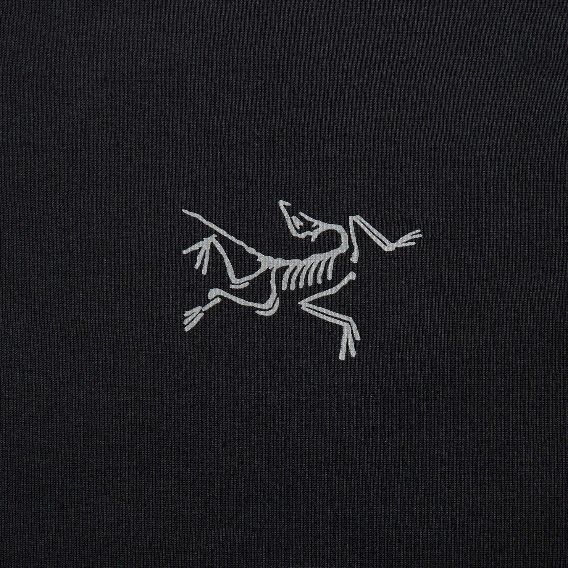 Arc'teryx Kragg SL Long Sleeve Tee - Black