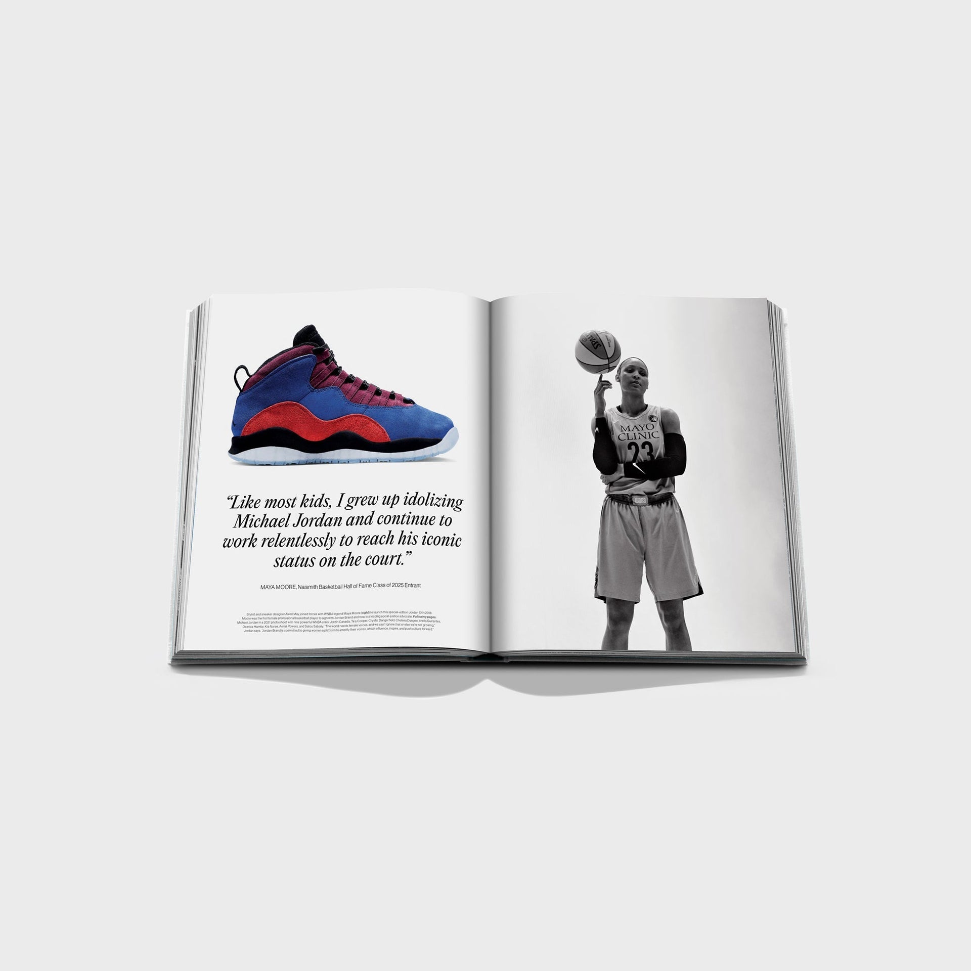 Assouline Air Jordan | The Classic Collection