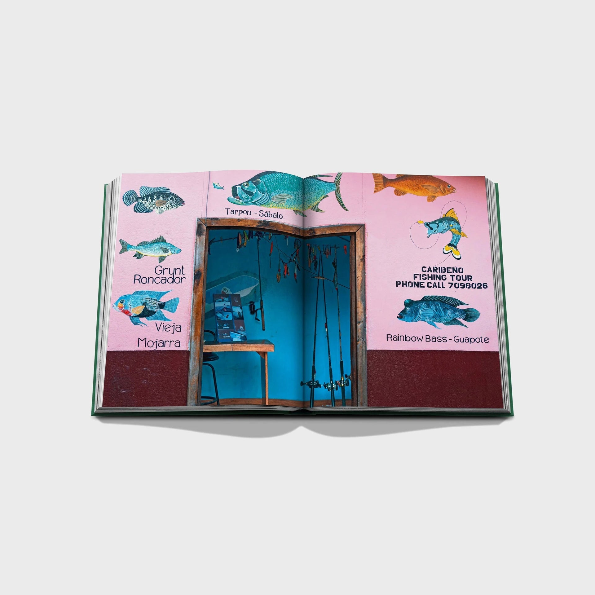 Assouline Costa Rica Vida